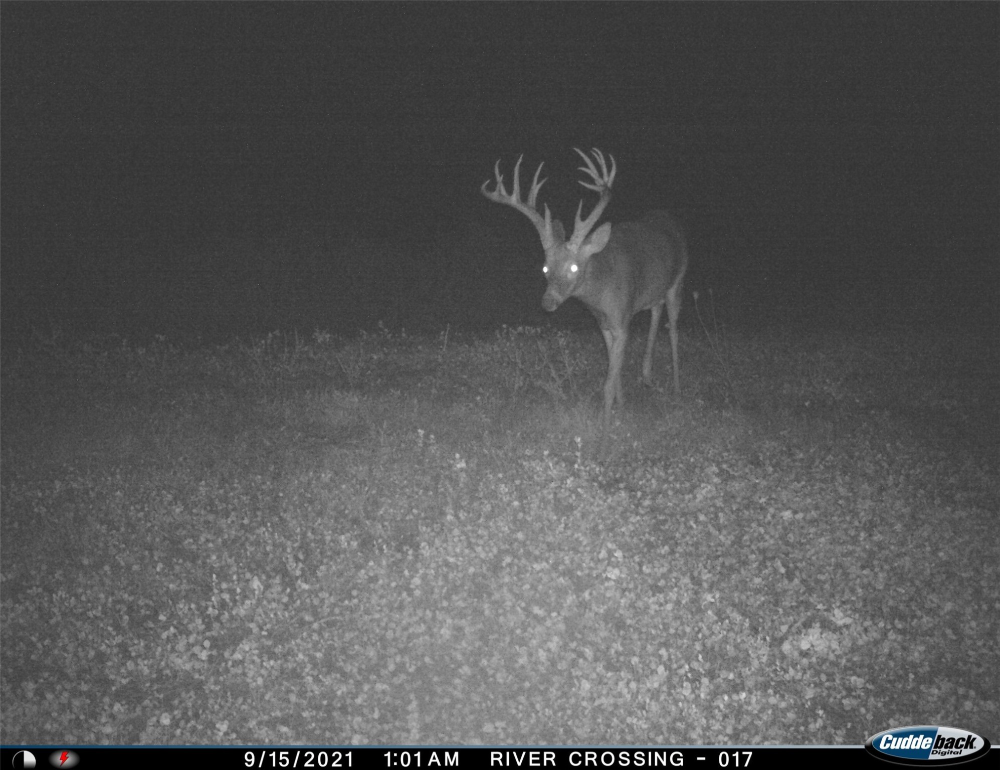 411 NE 2nd Street, Stuart, Iowa image 10