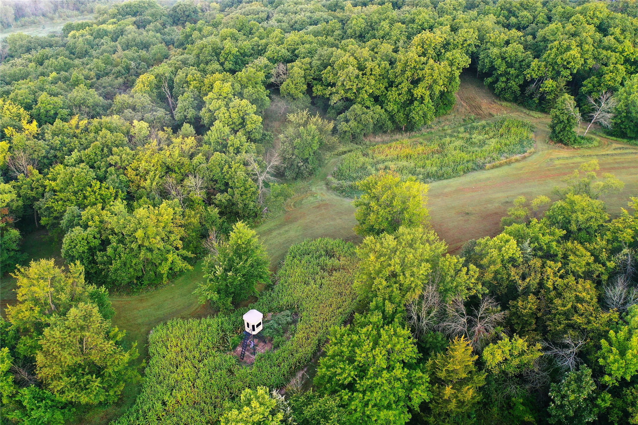 Redfield, Iowa, 50233, United States, 4 Bedrooms Bedrooms, ,3 BathroomsBathrooms,Residential,Active,2029759