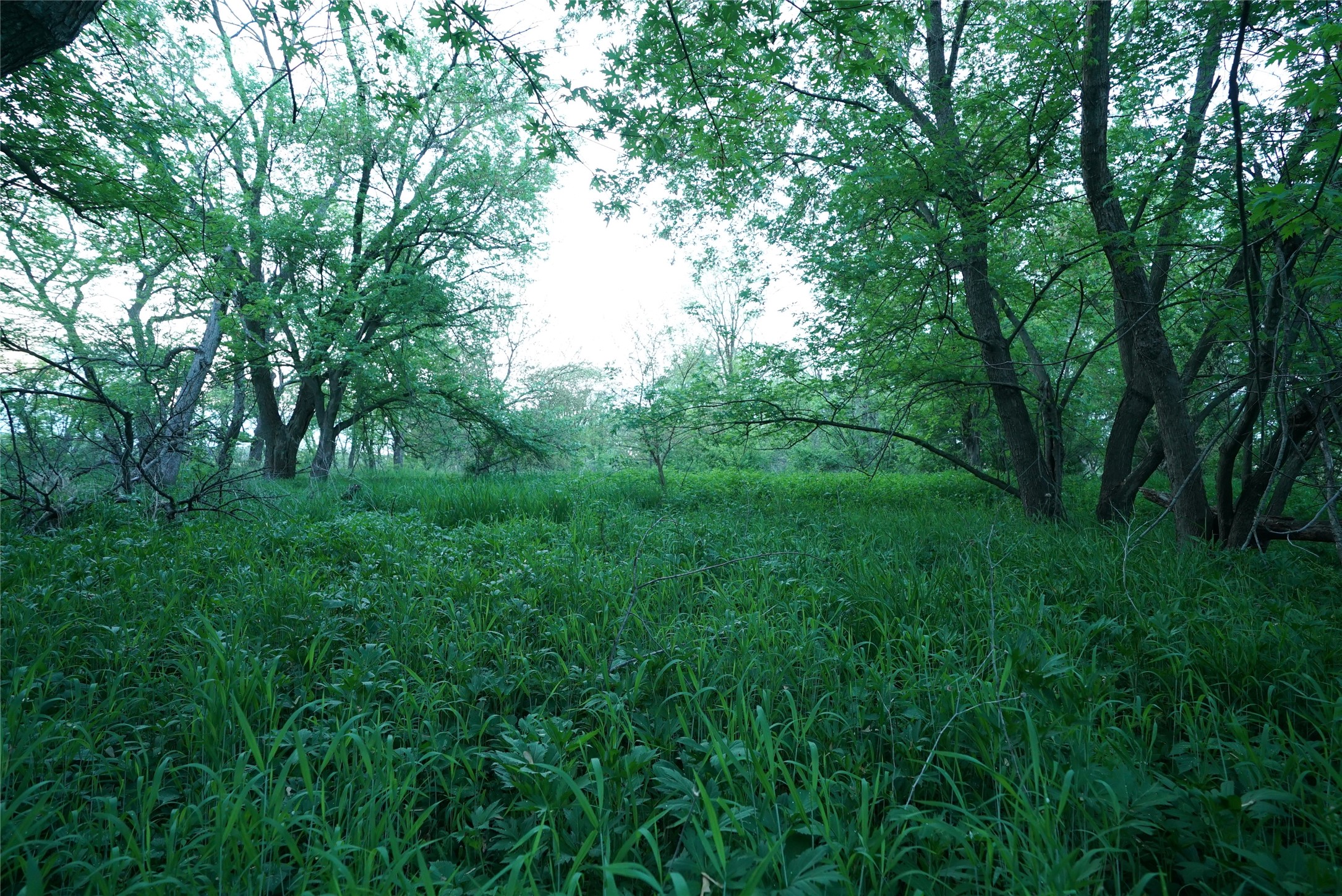 000 Ch G61 Macksburg Road, Macksburg, Iowa image 32