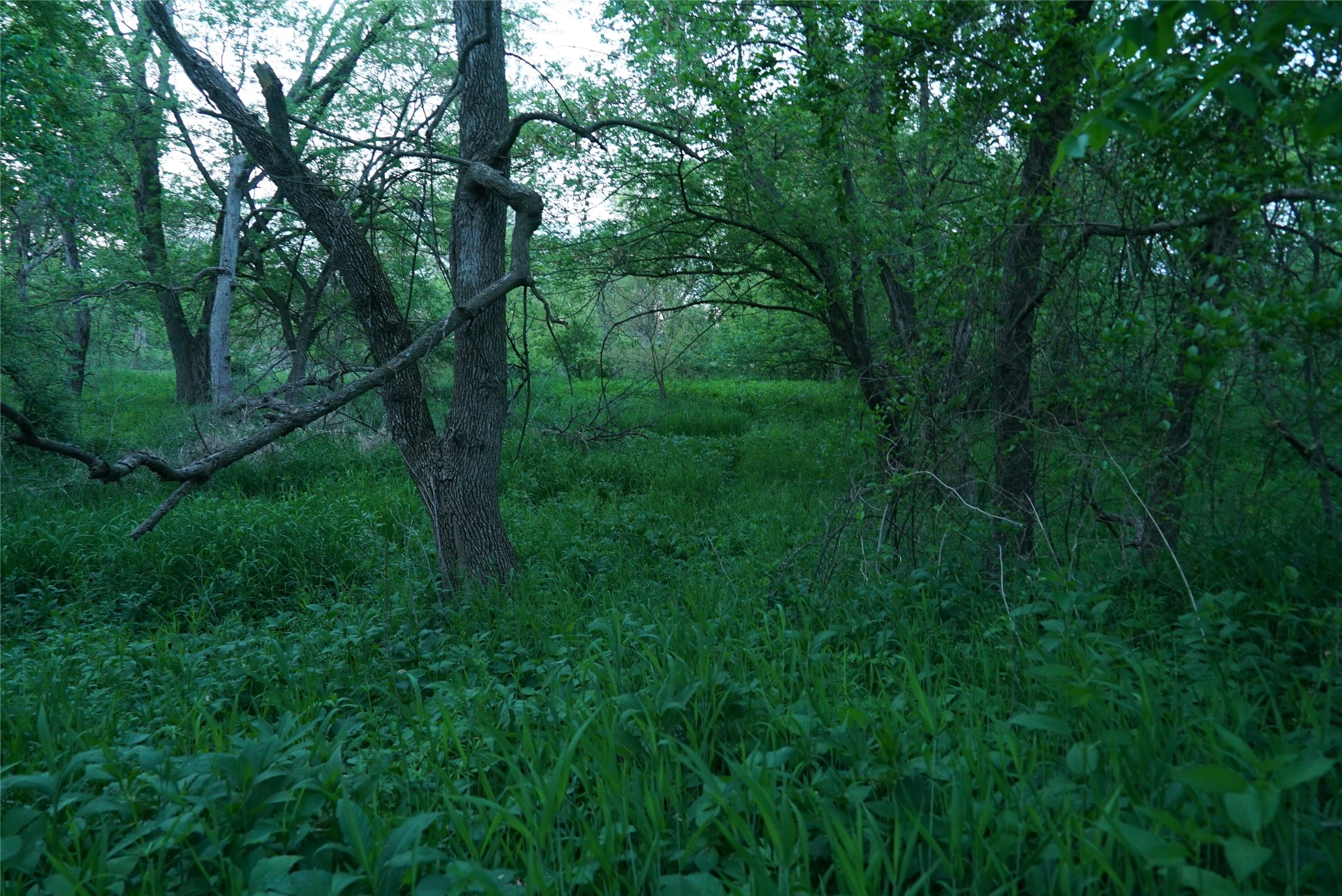 000 Ch G61 Macksburg Road, Macksburg, Iowa image 29