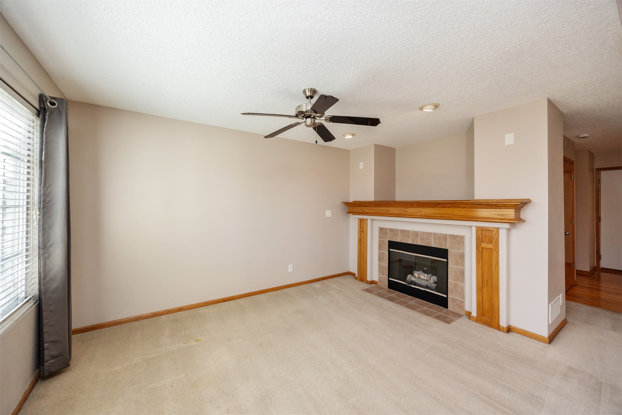 687 SE Williams Court, Waukee, Iowa image 3