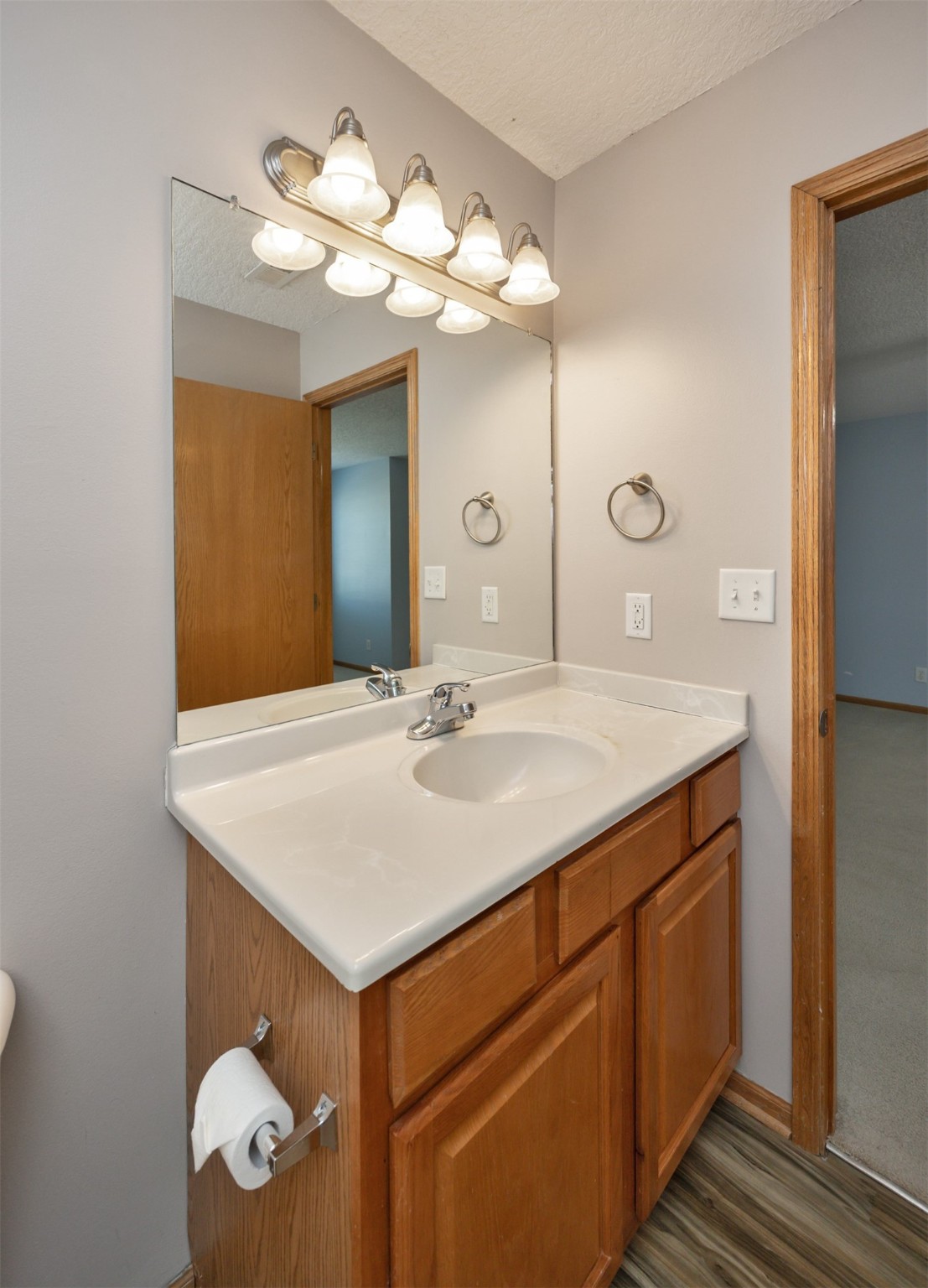 687 SE Williams Court, Waukee, Iowa image 21