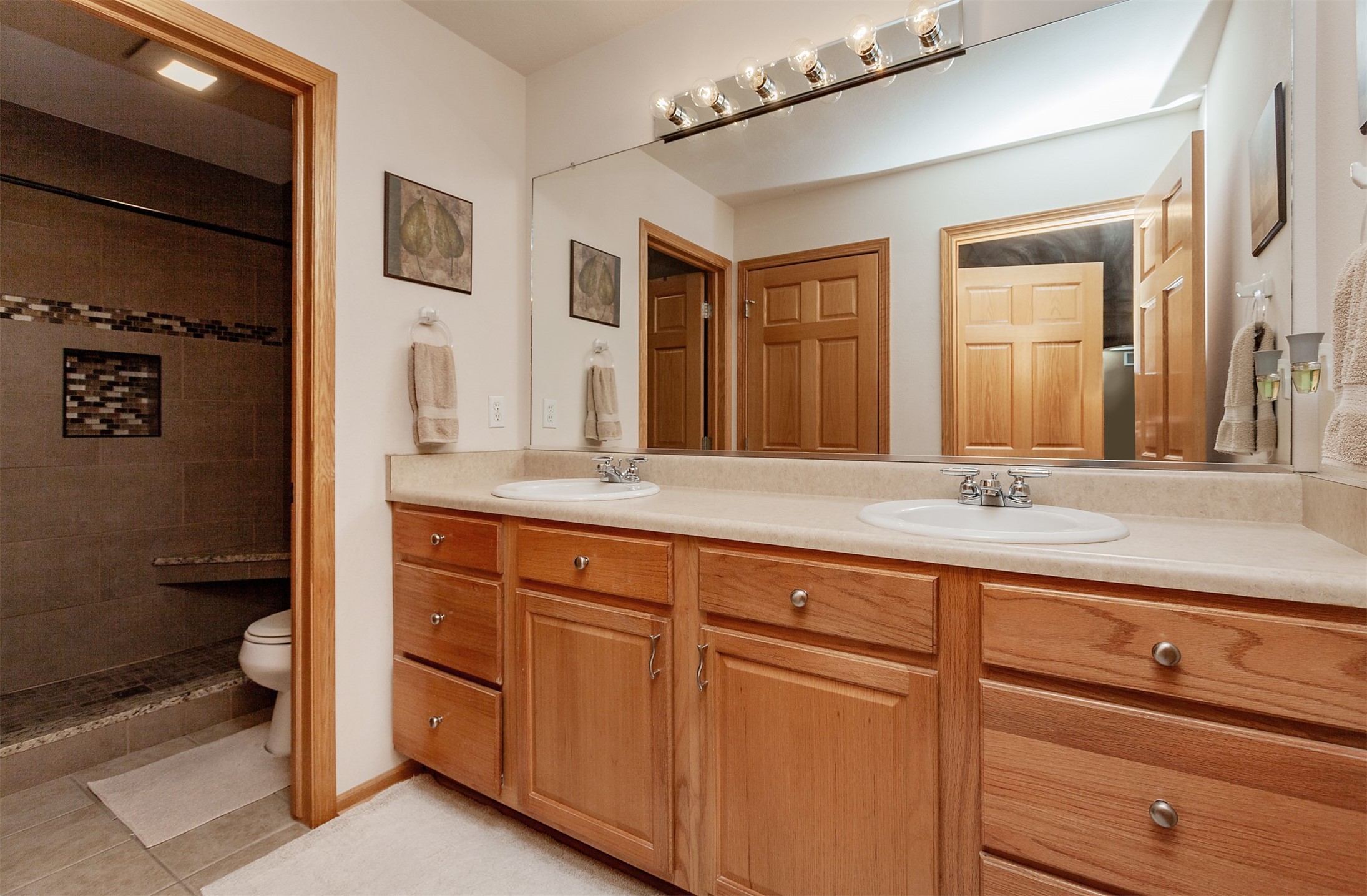 1116 SE Birch Lane, Ankeny, Iowa image 24