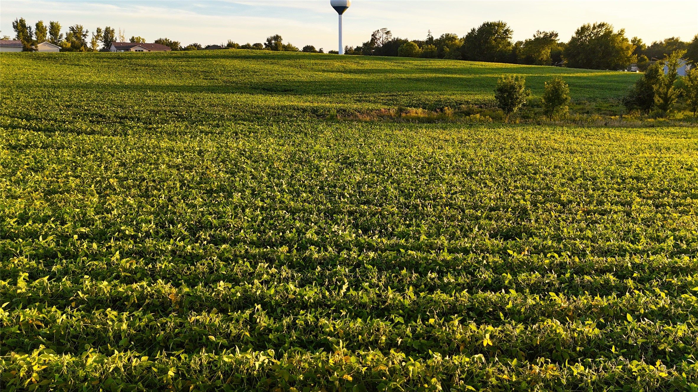 Rock Creek Drive, Maxwell, Iowa image 4