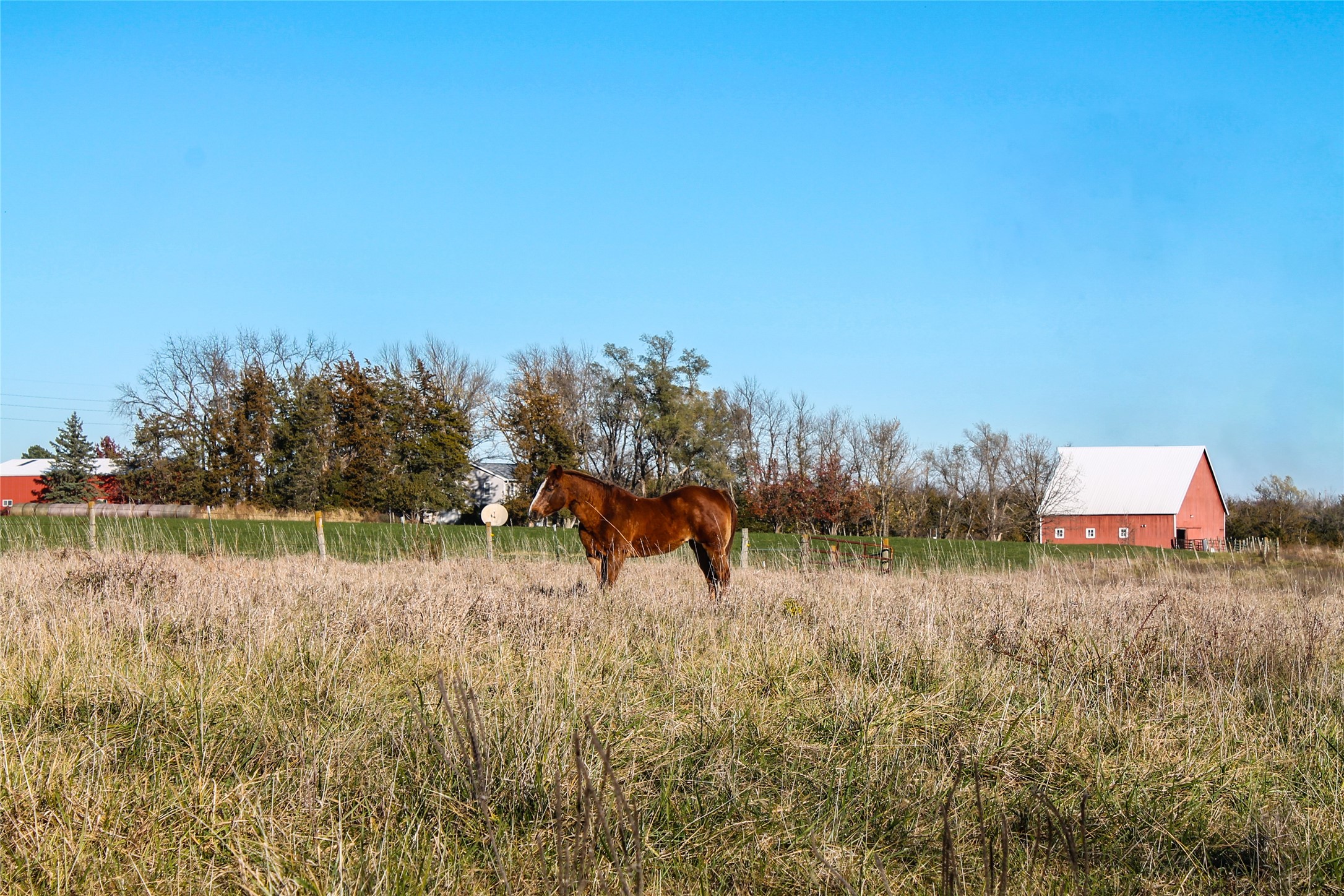 22558 73rd Avenue, New Virginia, Iowa image 3