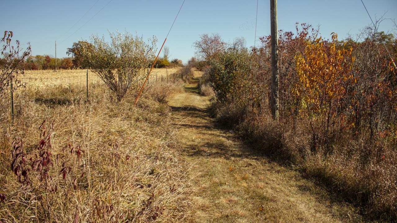 6235 33rd Avenue Drive, Shellsburg, Iowa image 33