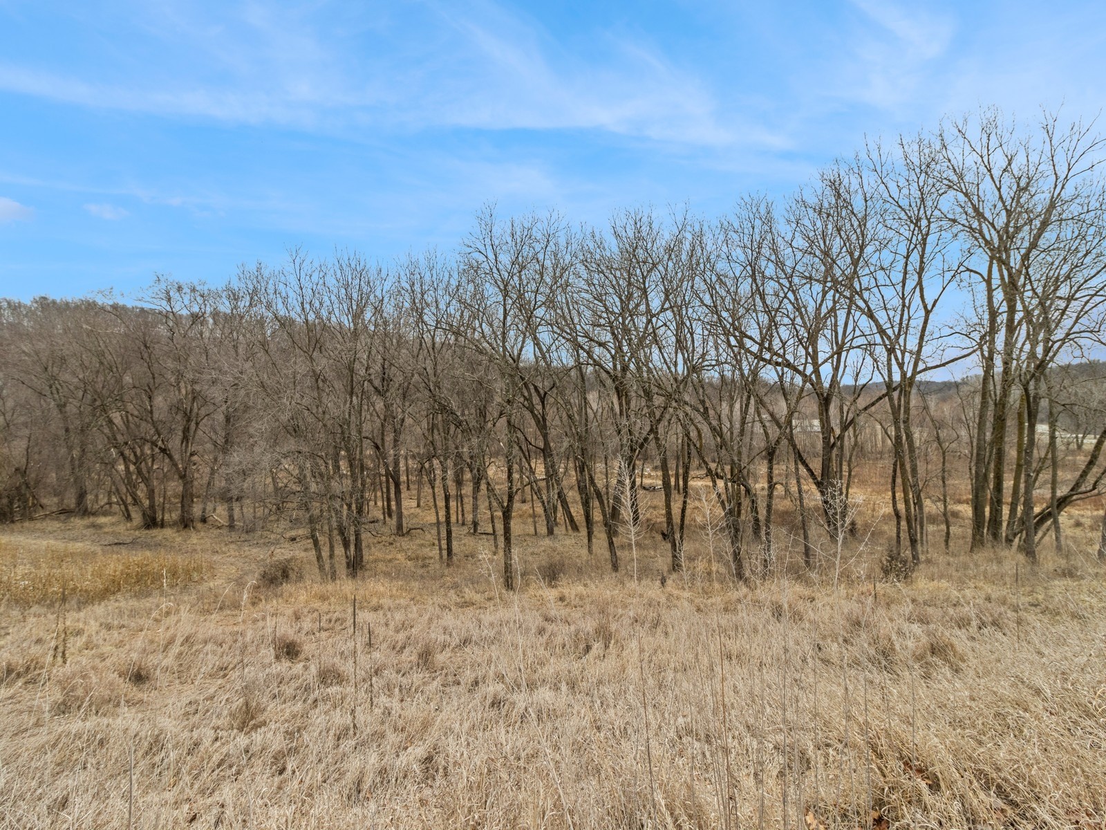 Carver Road, Winterset, Iowa image 6