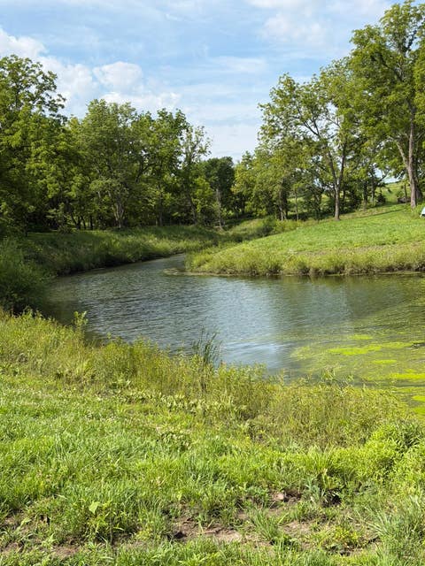 Vacant Land For Sale - Mckinley & S31 Highway<br/> Milo, IA 50166
