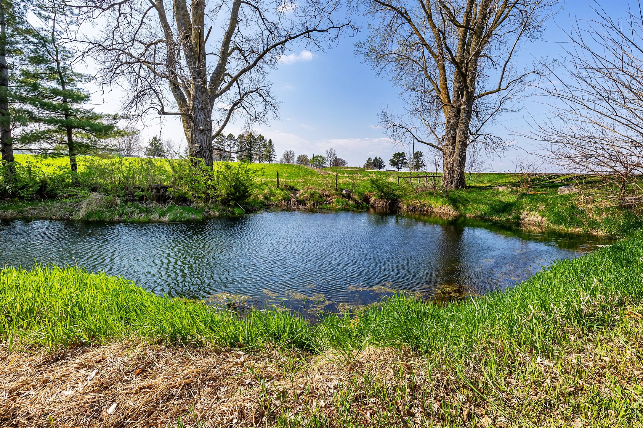5995 Se 104th Street, Runnells, Iowa image 2
