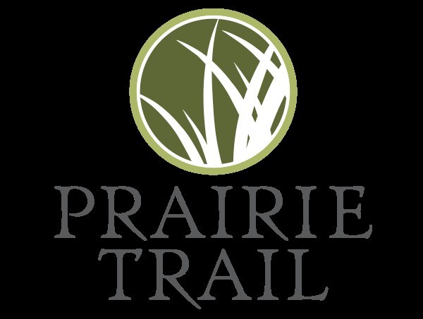 10 Prairie Trail Plat 3 Street, Ankeny, Iowa image 1