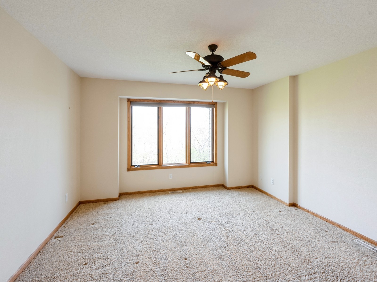 1005 Liberty Lane, Carlisle, Iowa image 13