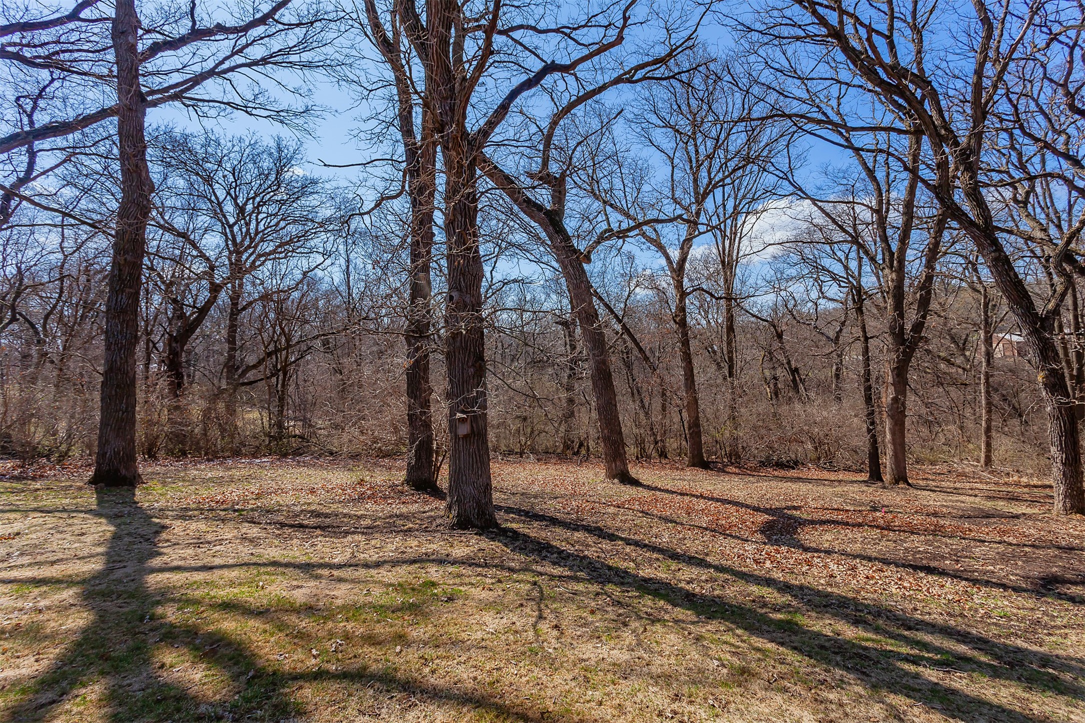 446 Rookwood Drive, Ames, Iowa image 5