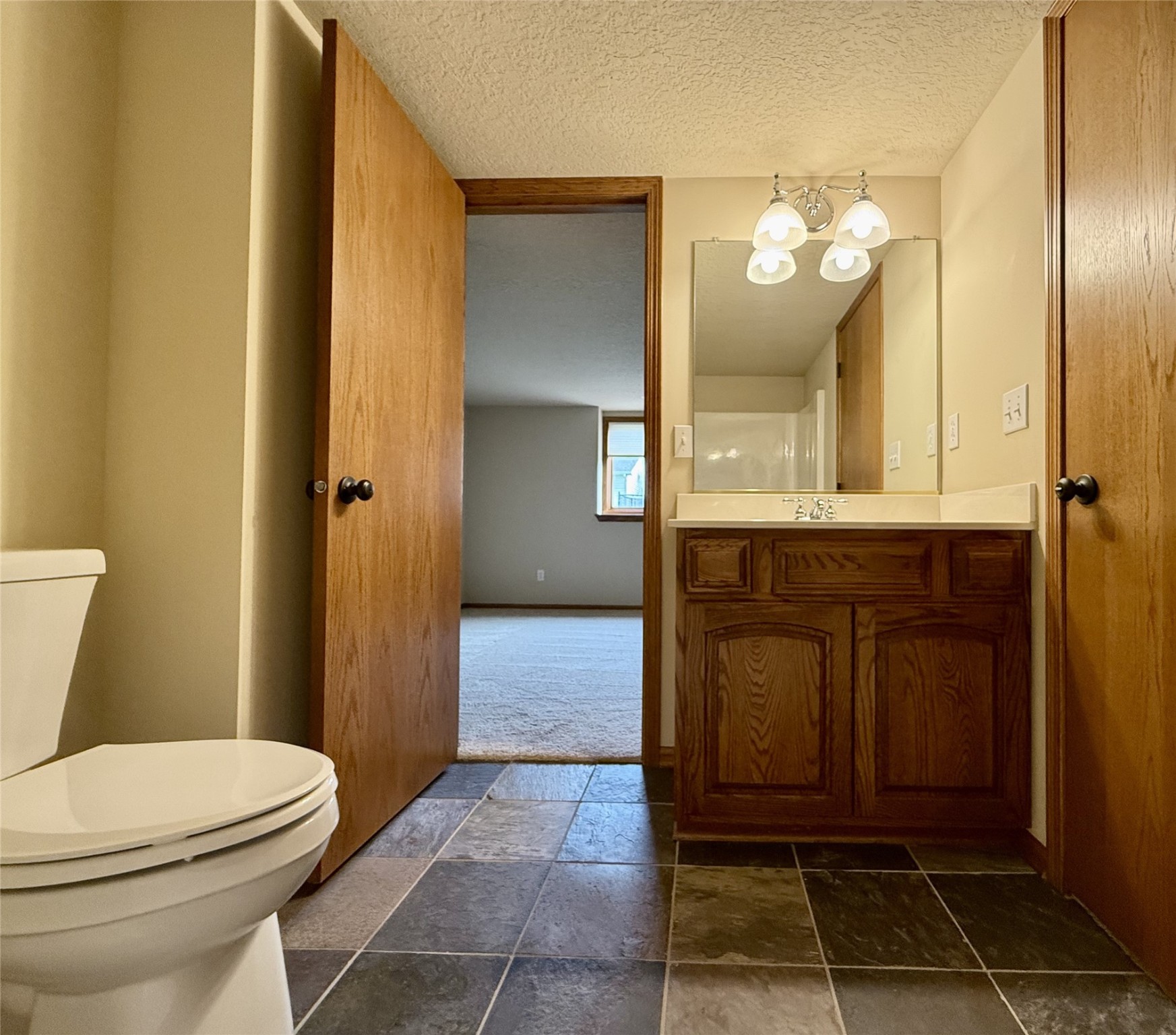 732 SE Ponds Edge Lane, Ankeny, Iowa image 23