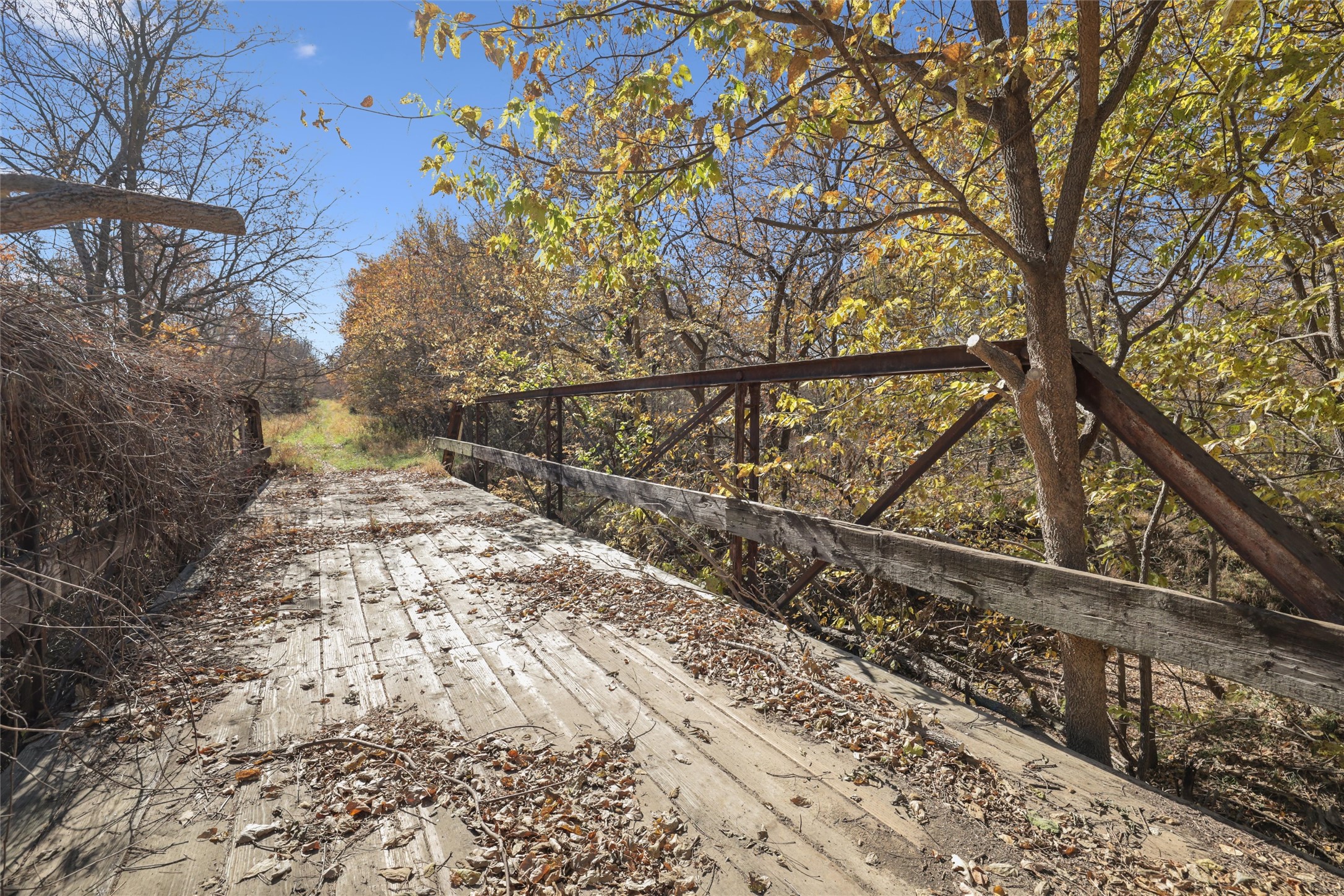 1610 290th Street, Winterset, Iowa image 23