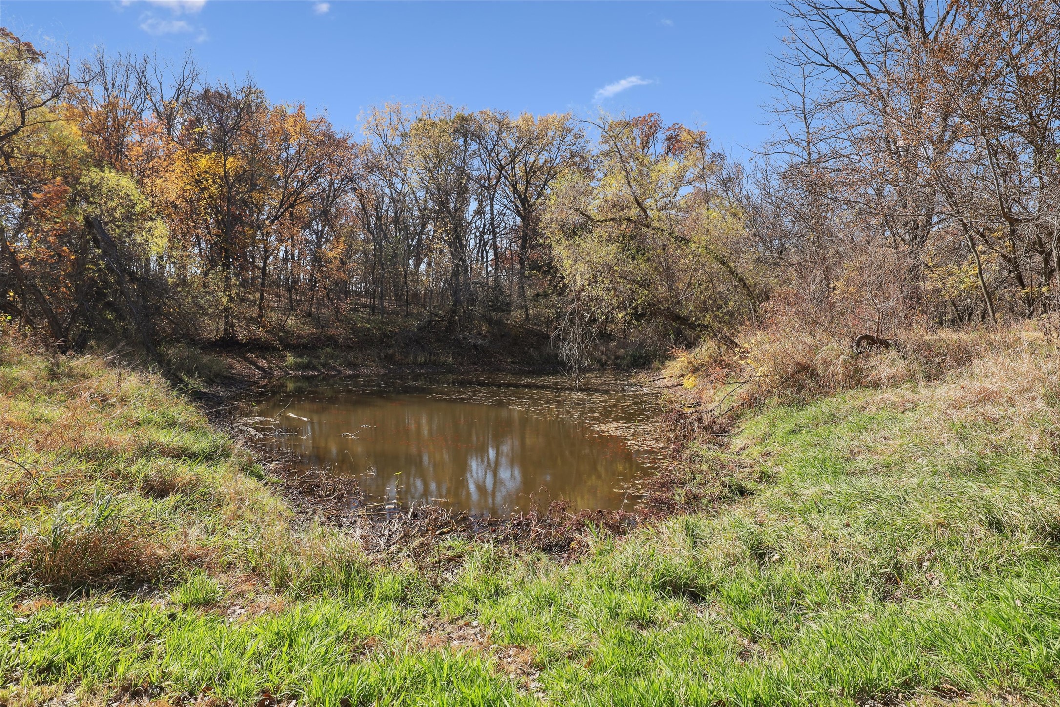 1610 290th Street, Winterset, Iowa image 20