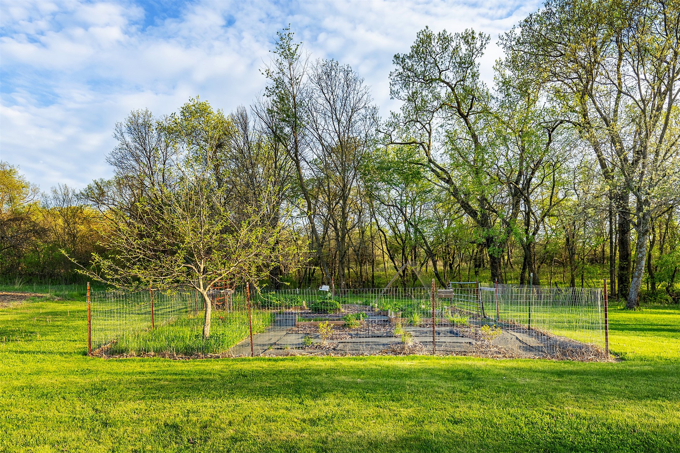 2364 Bittersweet Avenue, Winterset, Iowa image 29