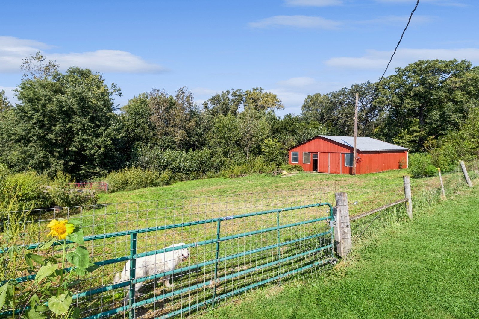 1739 108th Place, Knoxville, Iowa image 12
