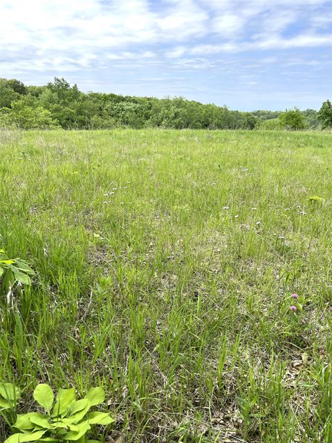 Vacant Land For Sale - 55858 260th Avenue<br/> Chariton, IA 50049