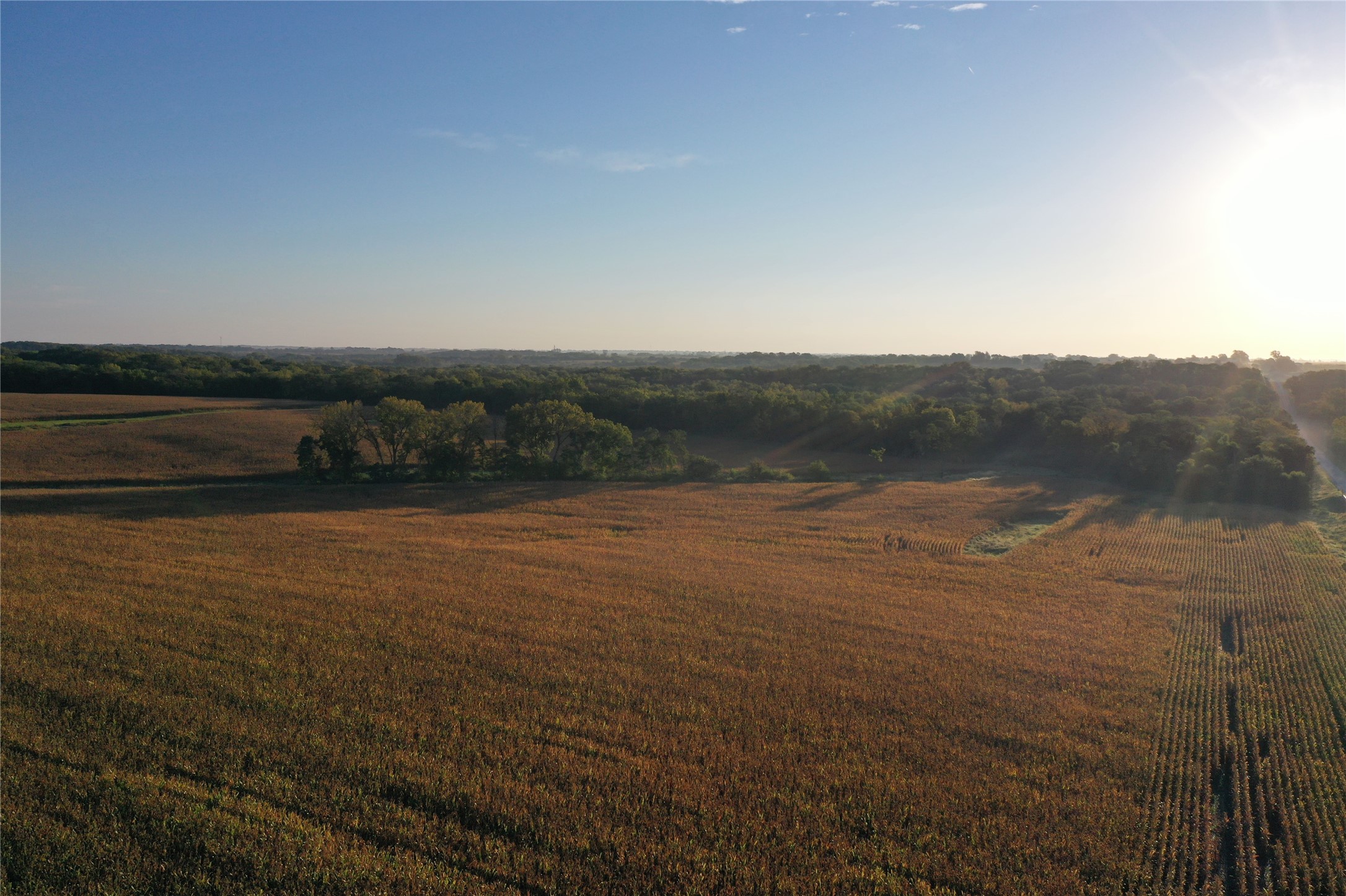 00 220th Avenue, Milo, Iowa image 12