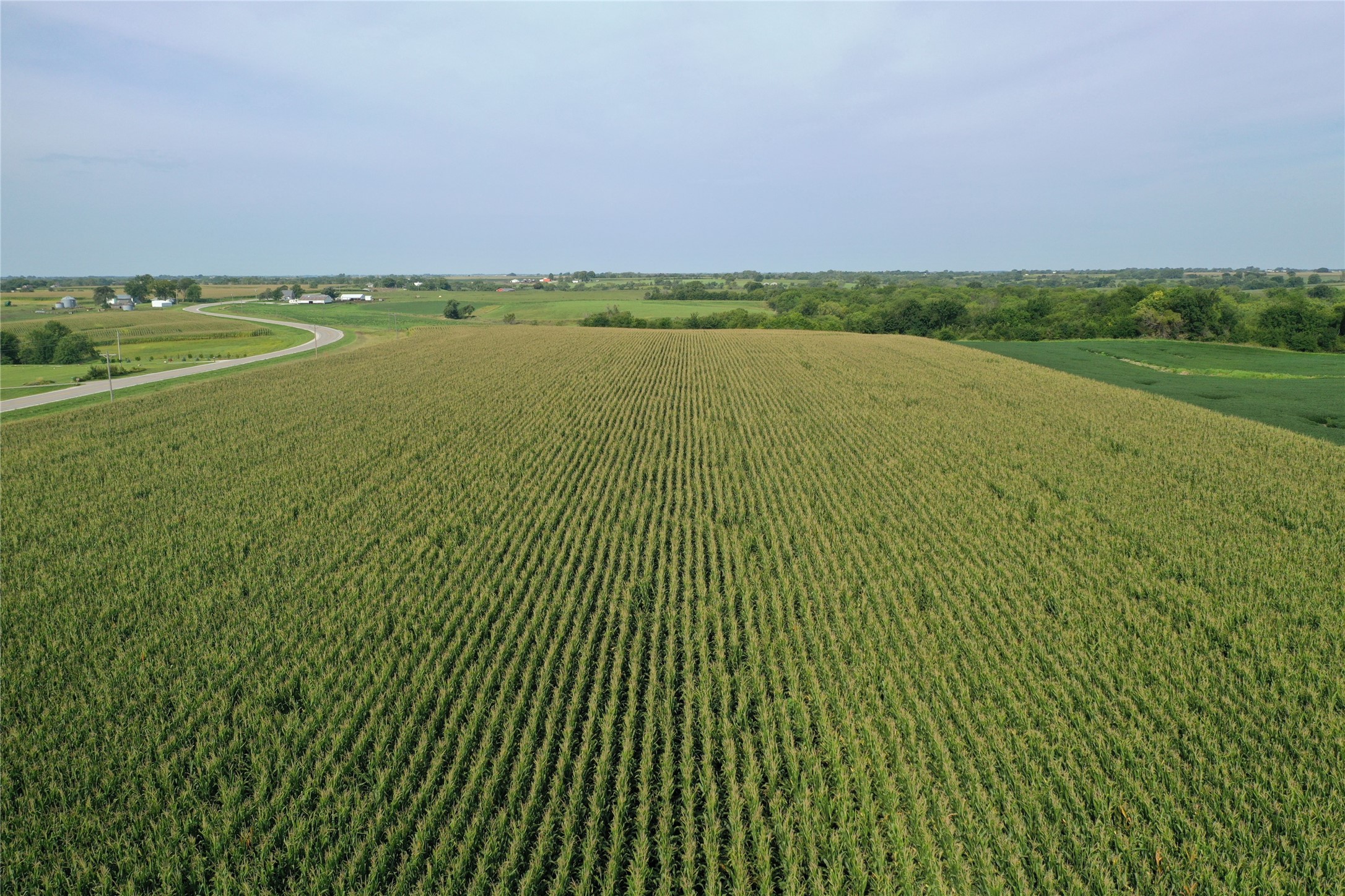 Hwy G76 & 190th Avenue, Lacona, Iowa image 7