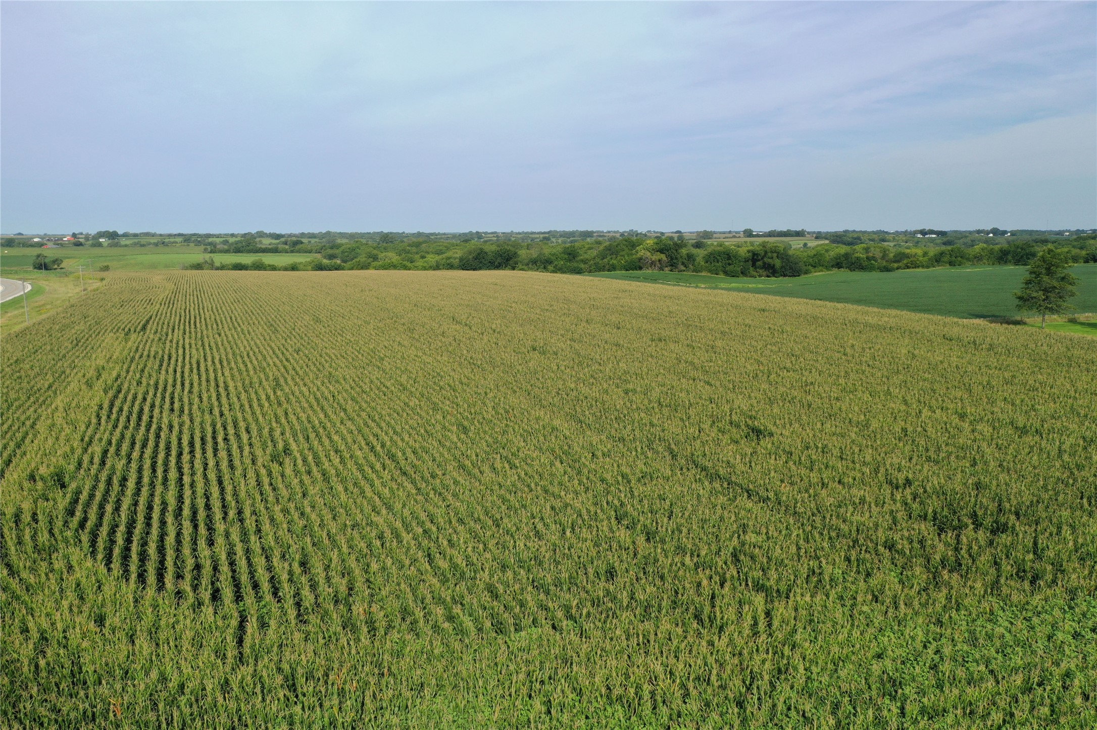 Hwy G76 & 190th Avenue, Lacona, Iowa image 6