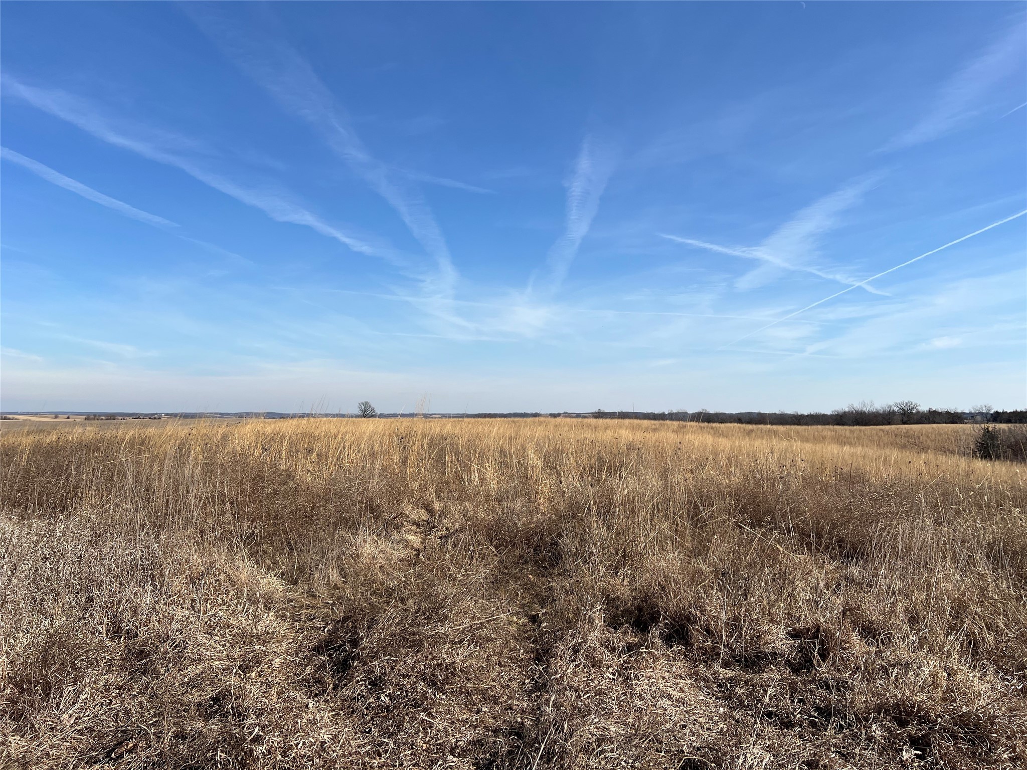 000 330th Avenue, Chariton, Iowa image 3