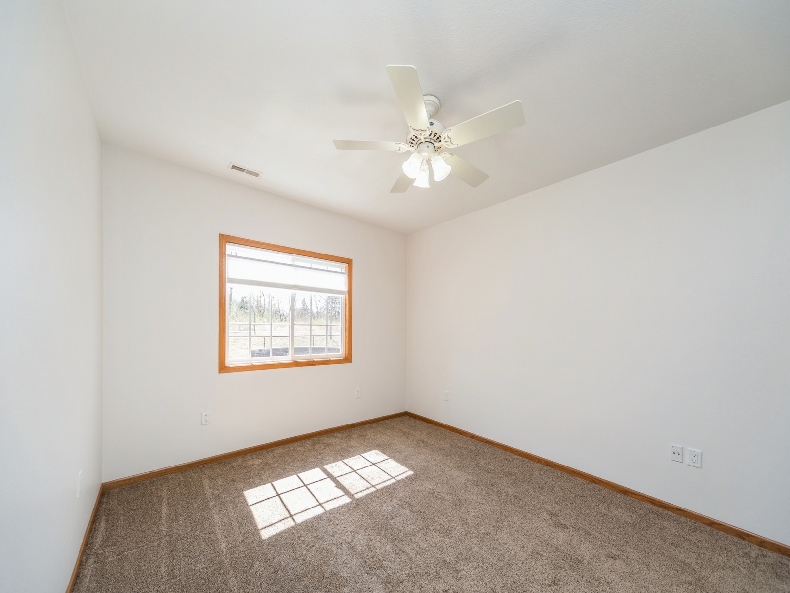 1303 NW Bayview Court, Ankeny, Iowa image 25