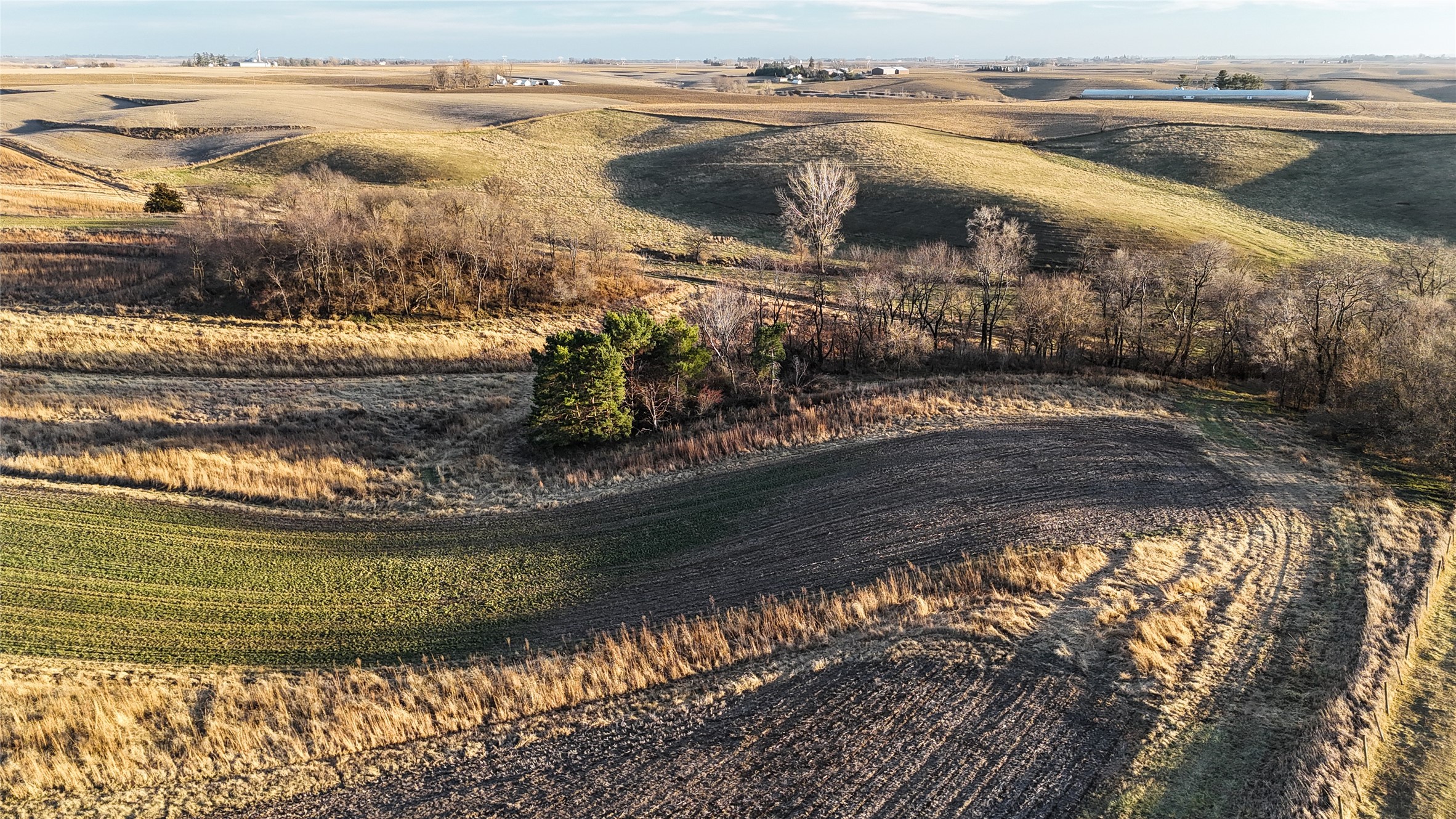 TBD Section:24 Township:79 Range:19east 10 Acres Nw Ne Street, Newton, Iowa image 32