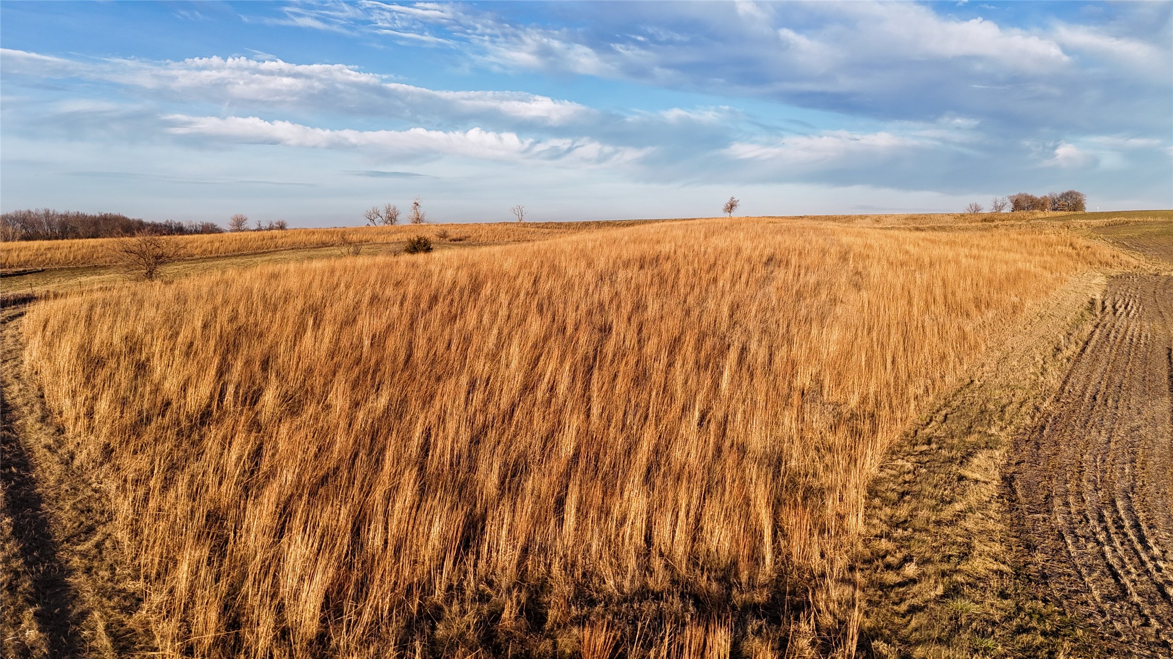 TBD Section:24 Township:79 Range:19east 10 Acres Nw Ne Street, Newton, Iowa image 33