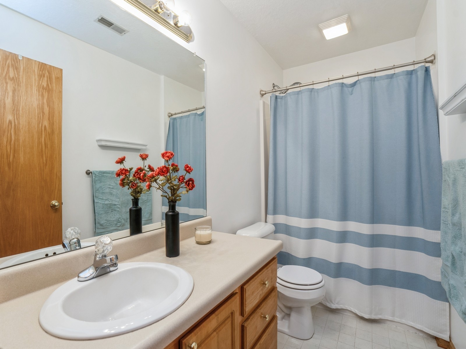 2917 SW Coves Drive, Ankeny, Iowa image 25