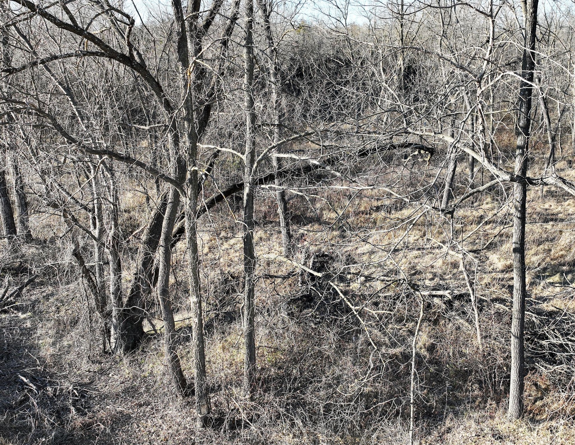 00 515th Lane, Chariton, Iowa image 18