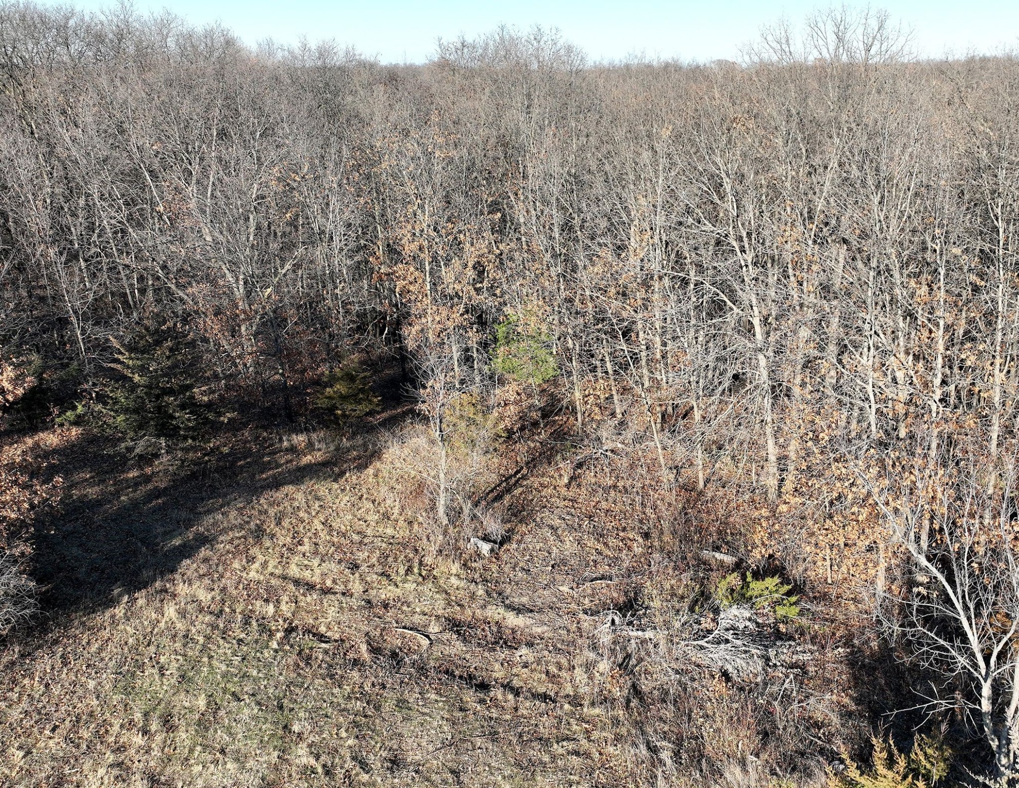 00 515th Lane, Chariton, Iowa image 8