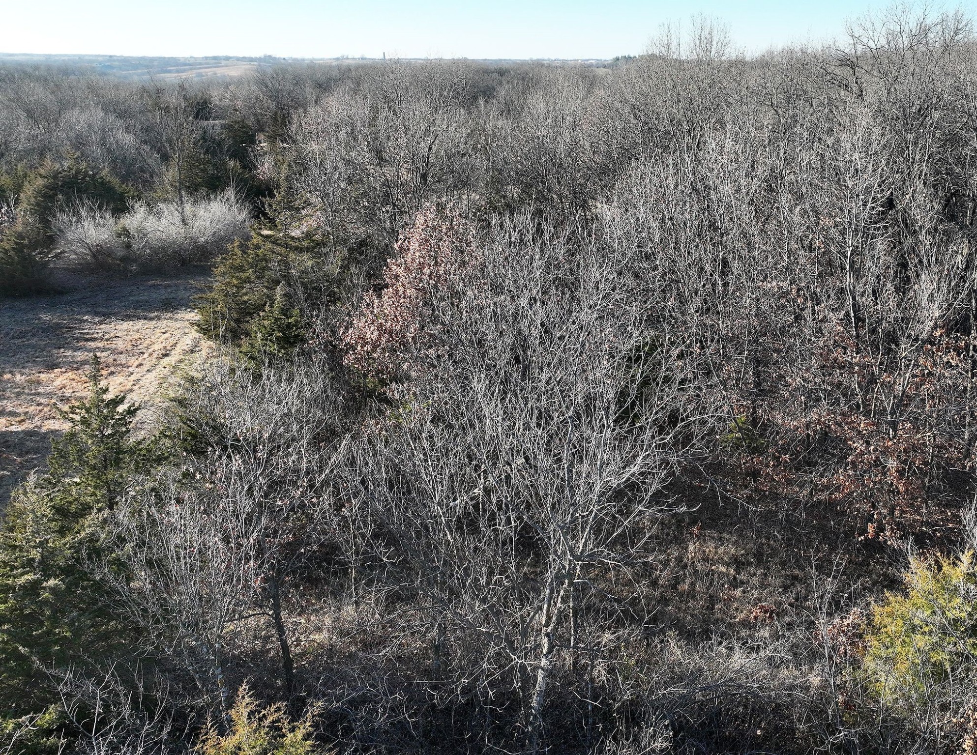 00 515th Lane, Chariton, Iowa image 26