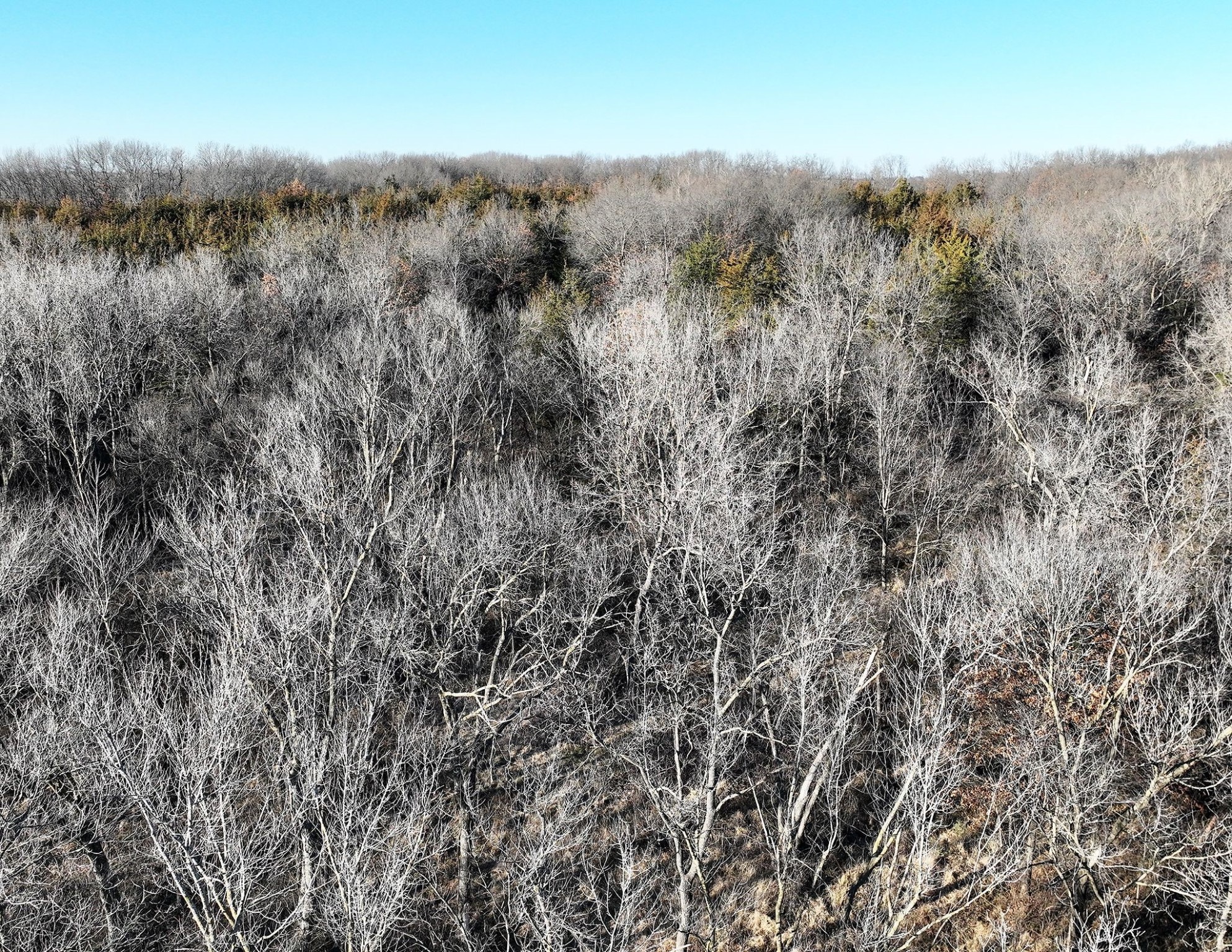 00 515th Lane, Chariton, Iowa image 16