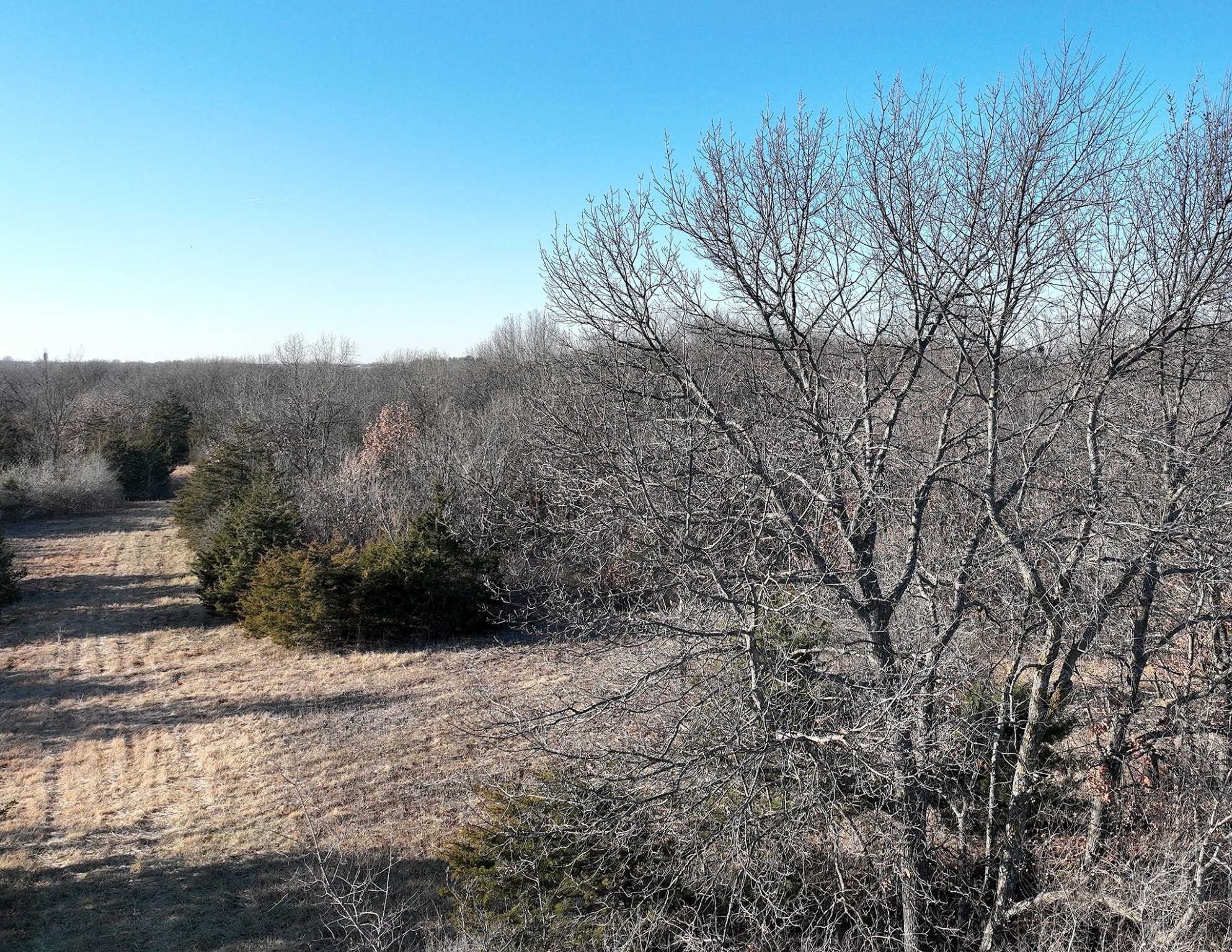 00 515th Lane, Chariton, Iowa image 21