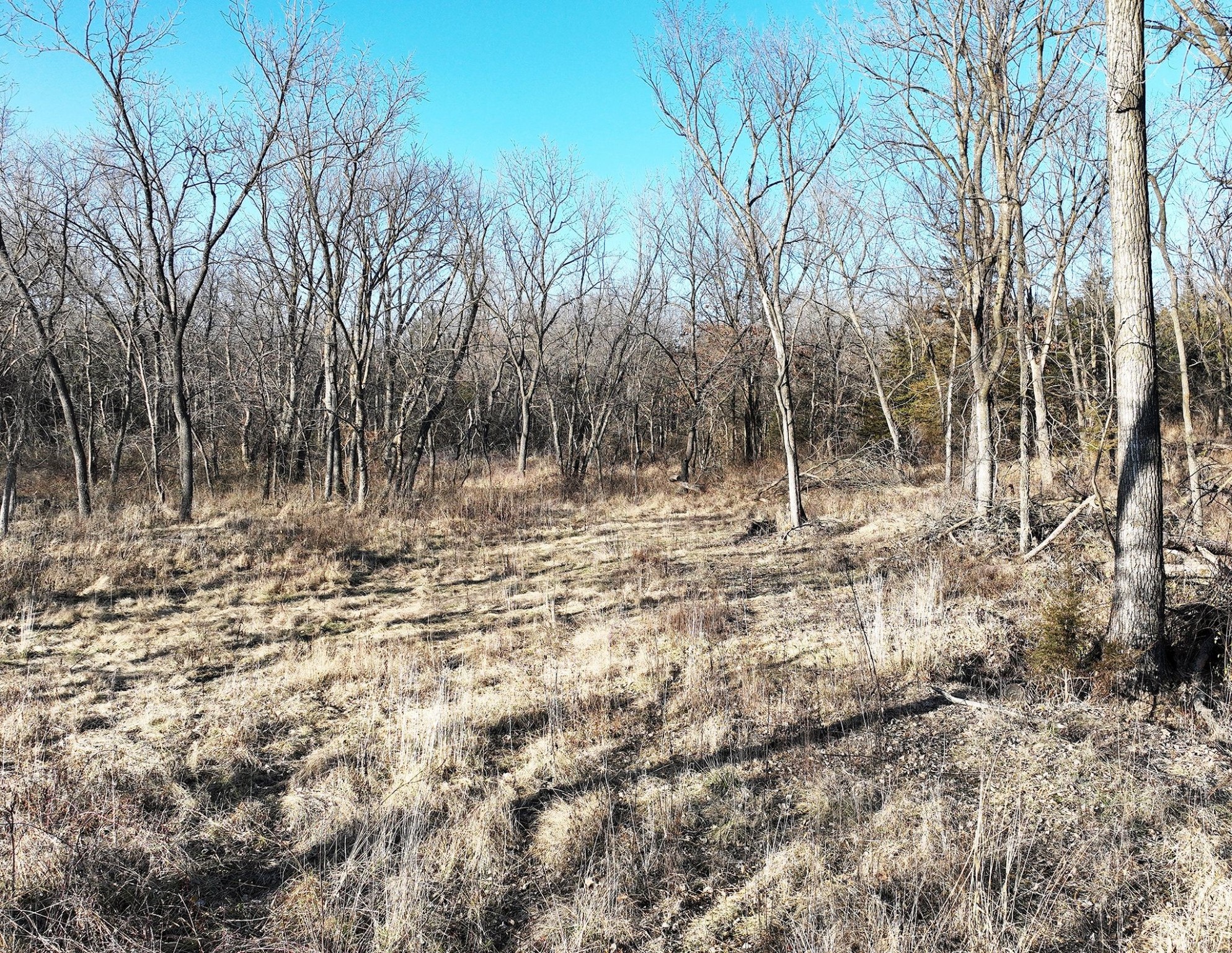 00 515th Lane, Chariton, Iowa image 13