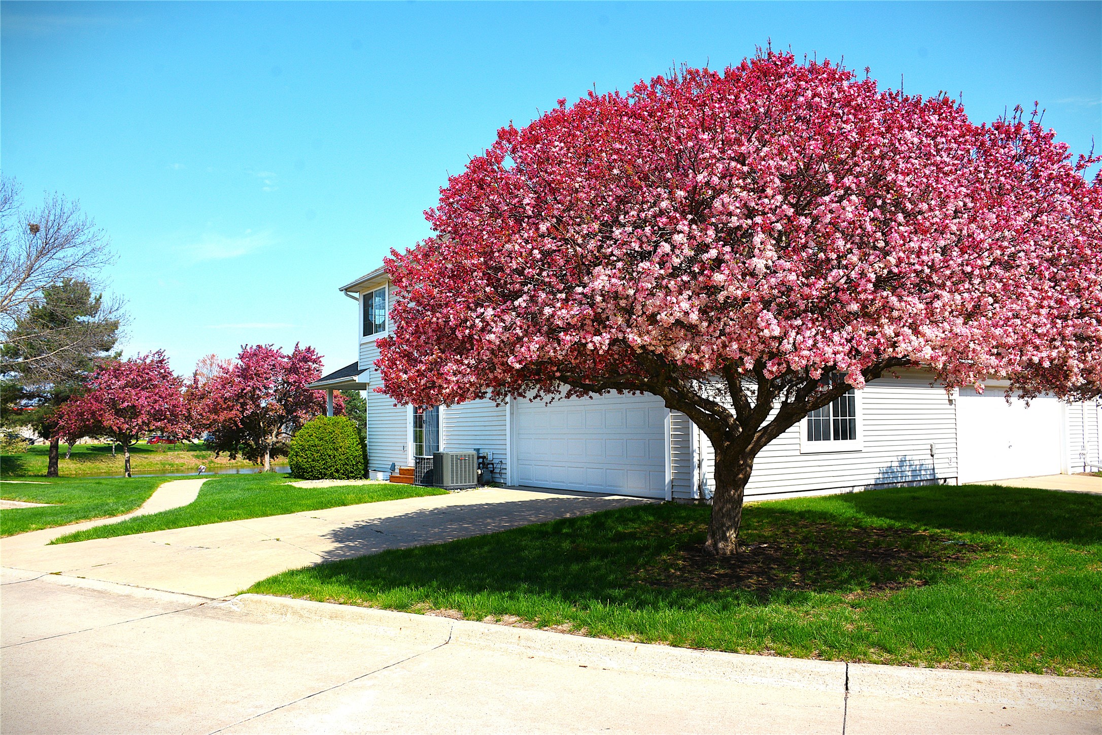555 SE Laurel Street #14, Waukee, Iowa image 3