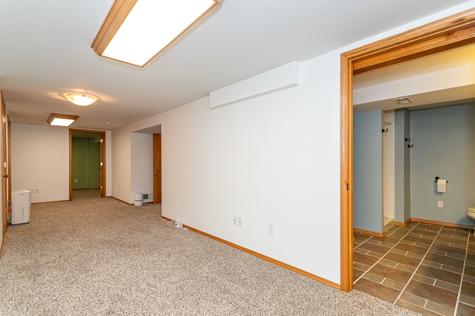 217 E 16th Street, Ames, Iowa image 25