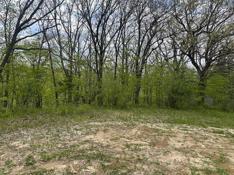 Vacant Land For Sale - 6513 Jansen Cove<br/> Guthrie County, Panora, IA 50216