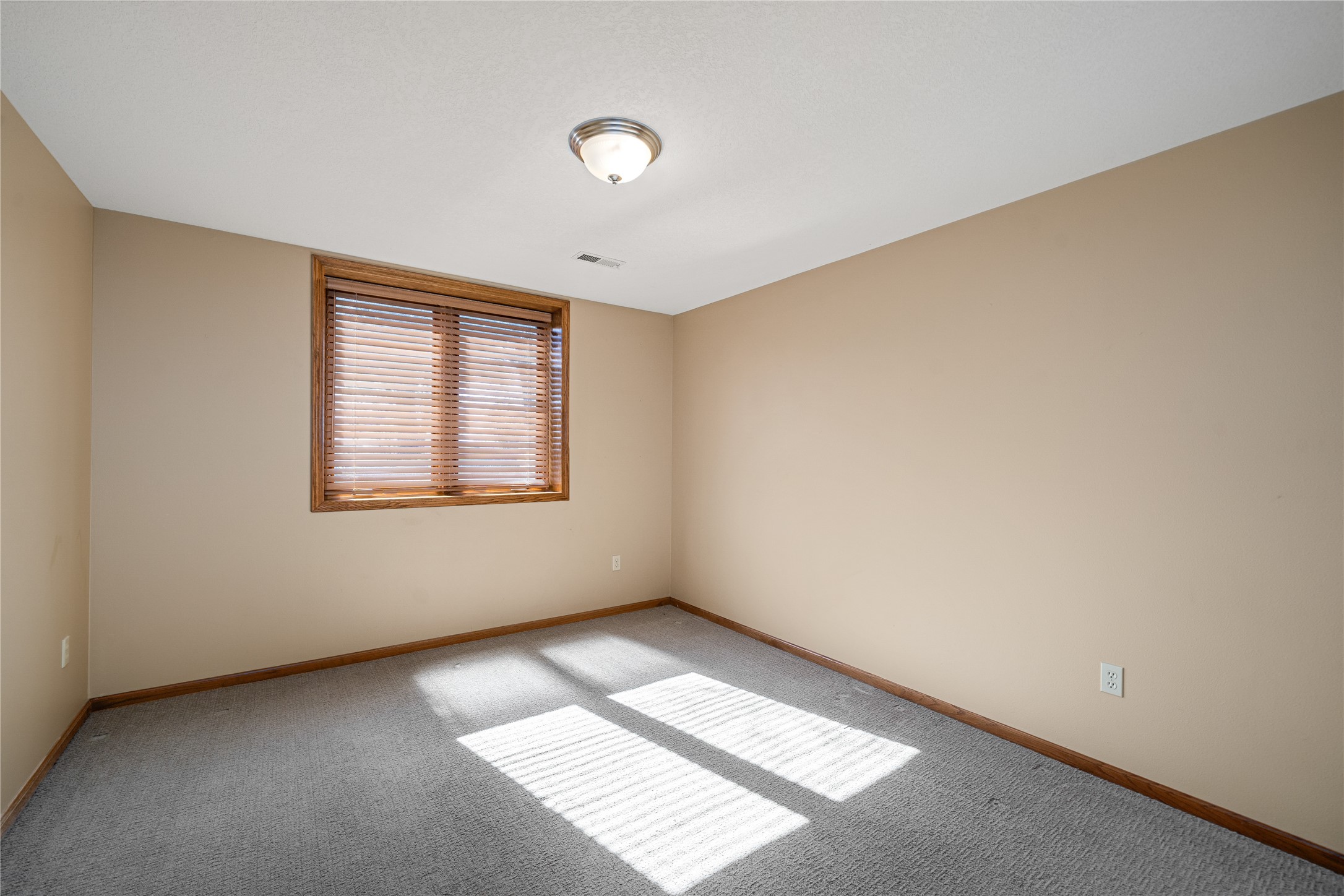 11818 Dakota Street, Norwalk, Iowa image 21