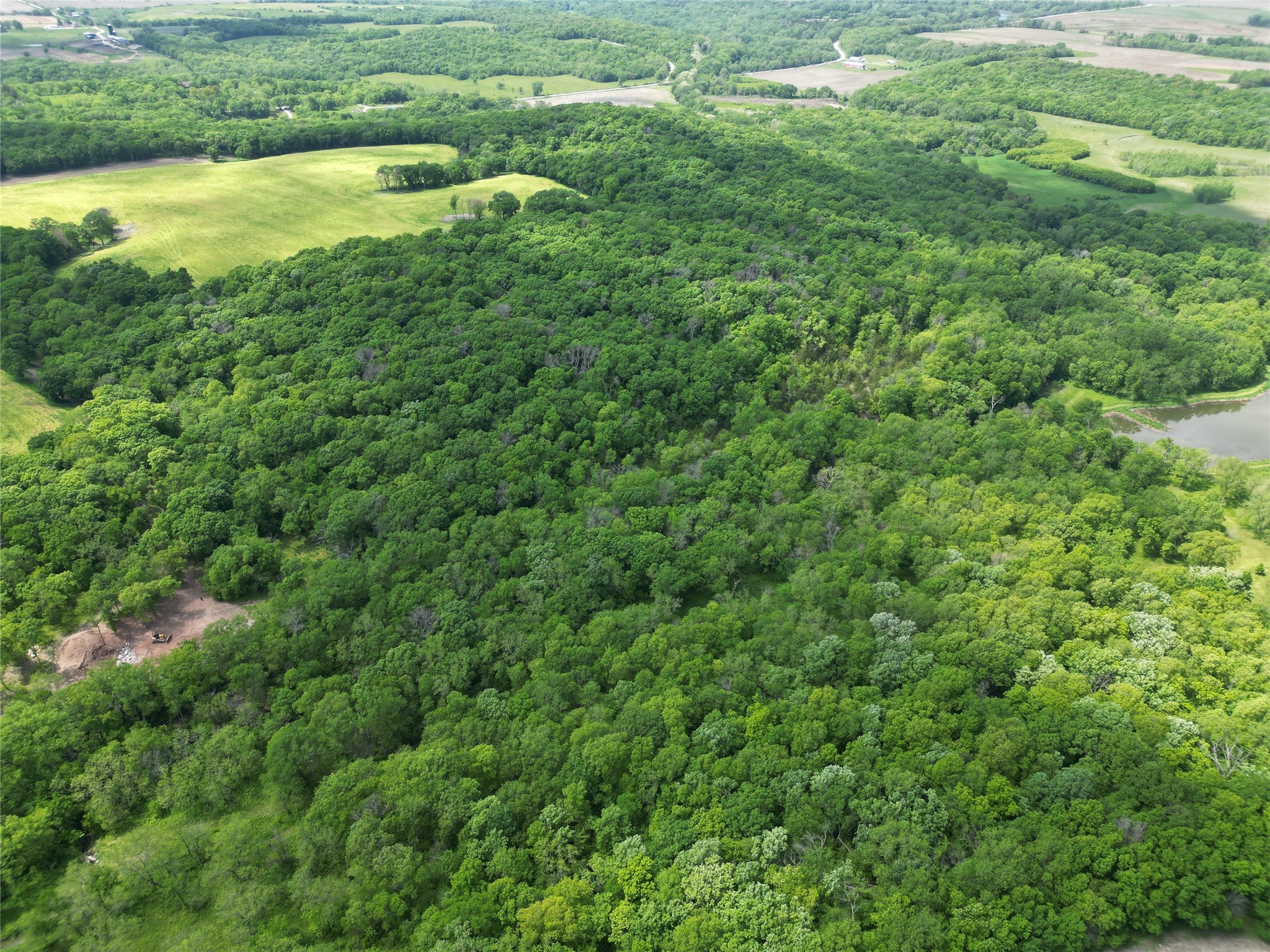 30 Acres M/l 1399 Hogback Rd Road, Earlham, Iowa image 7