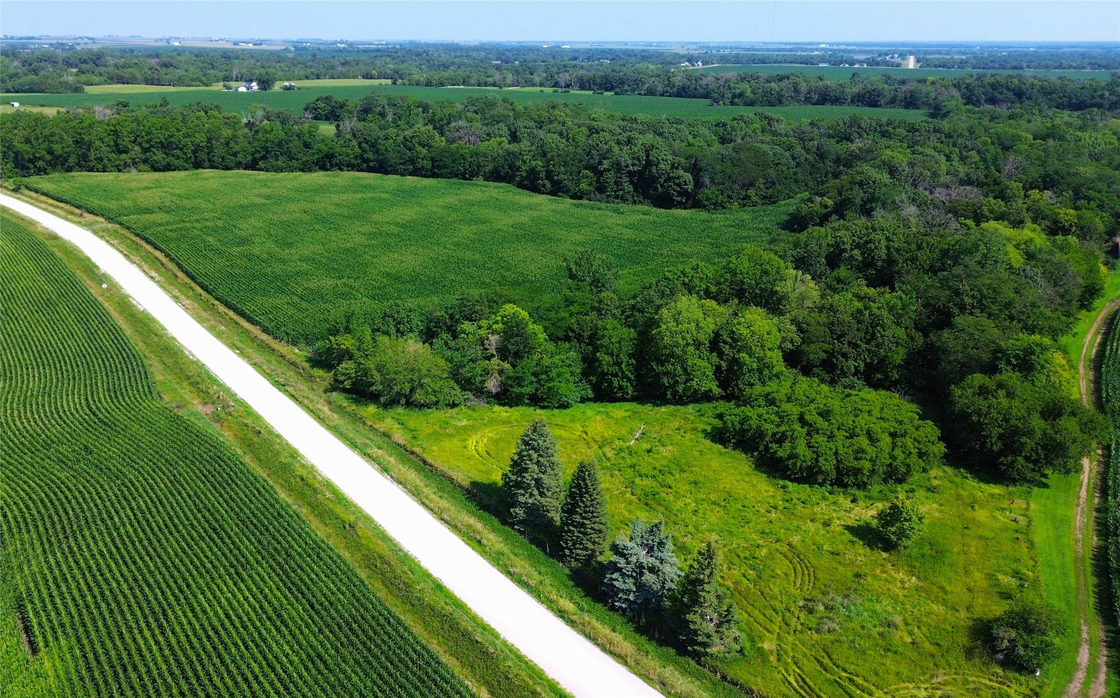 1 Lot 1 333rd Street, Woodward, Iowa image 7