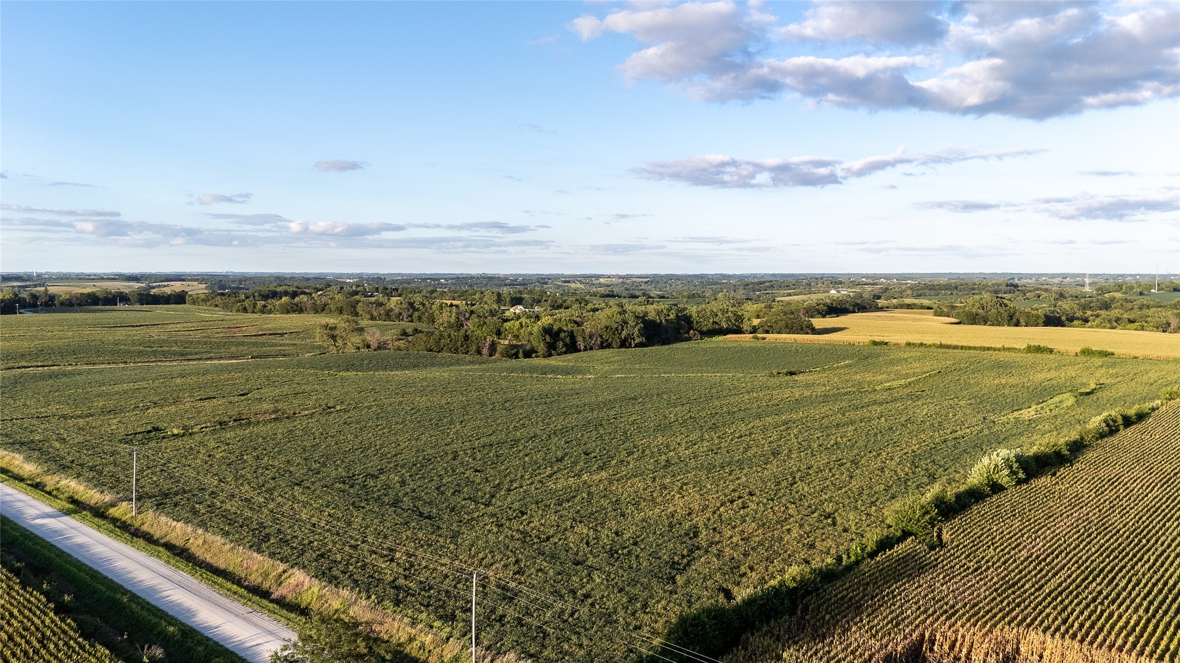 Maple Ridge