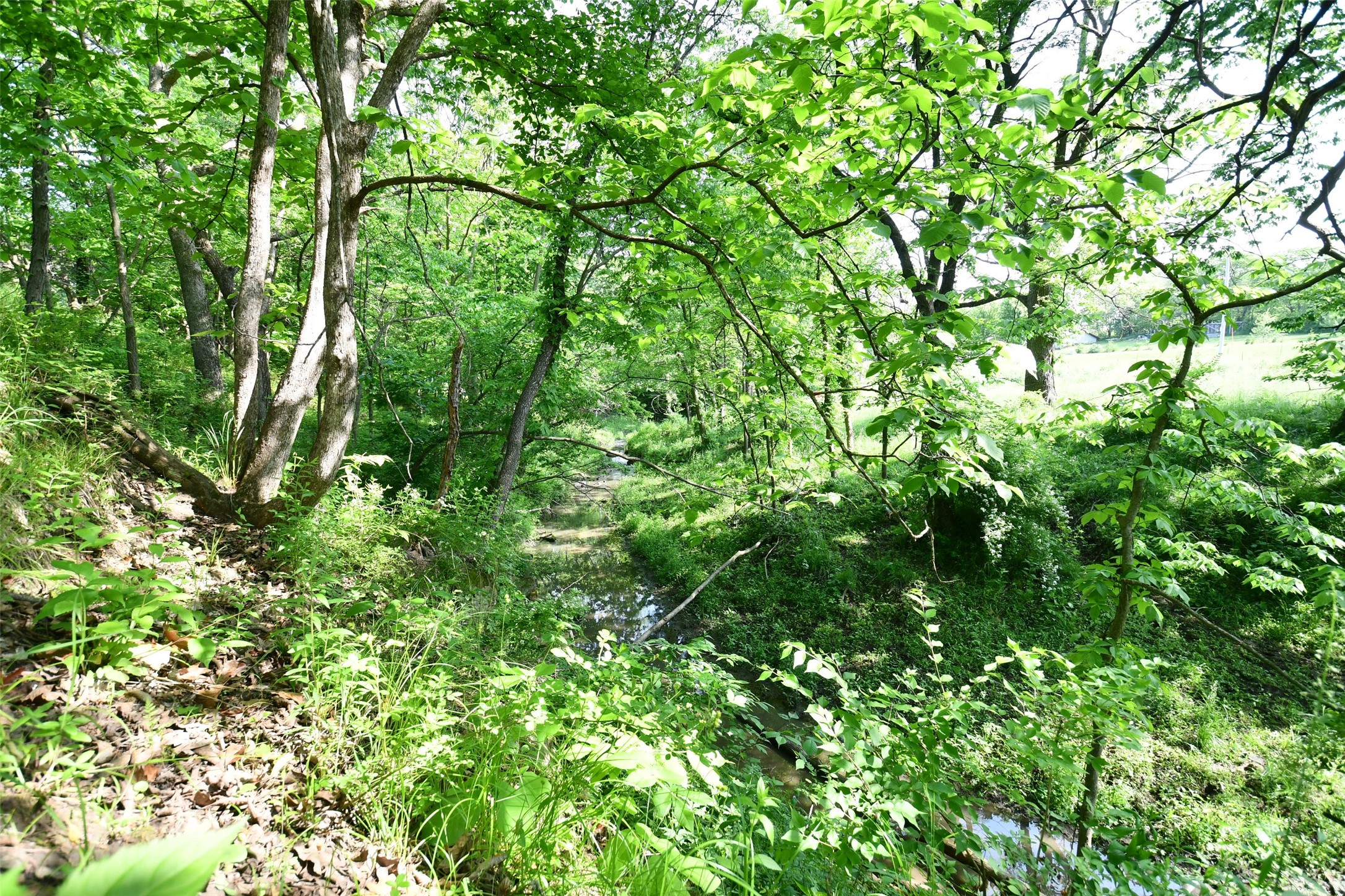 02 S23 Highway, Carlisle, Iowa image 11
