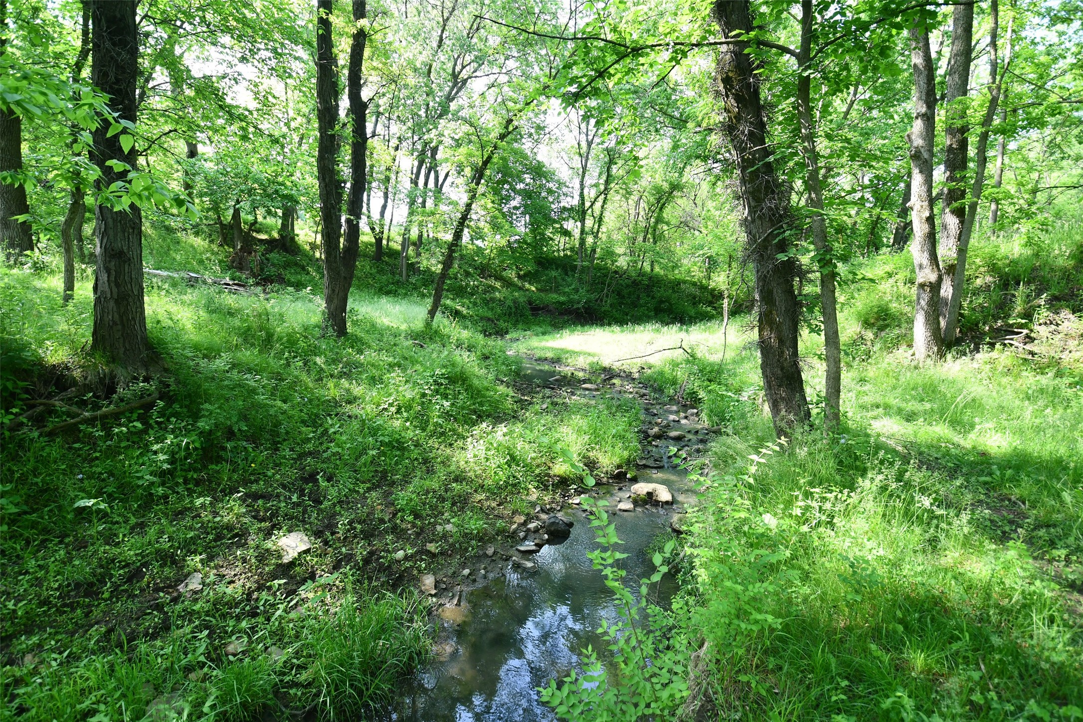 02 S23 Highway, Carlisle, Iowa image 10