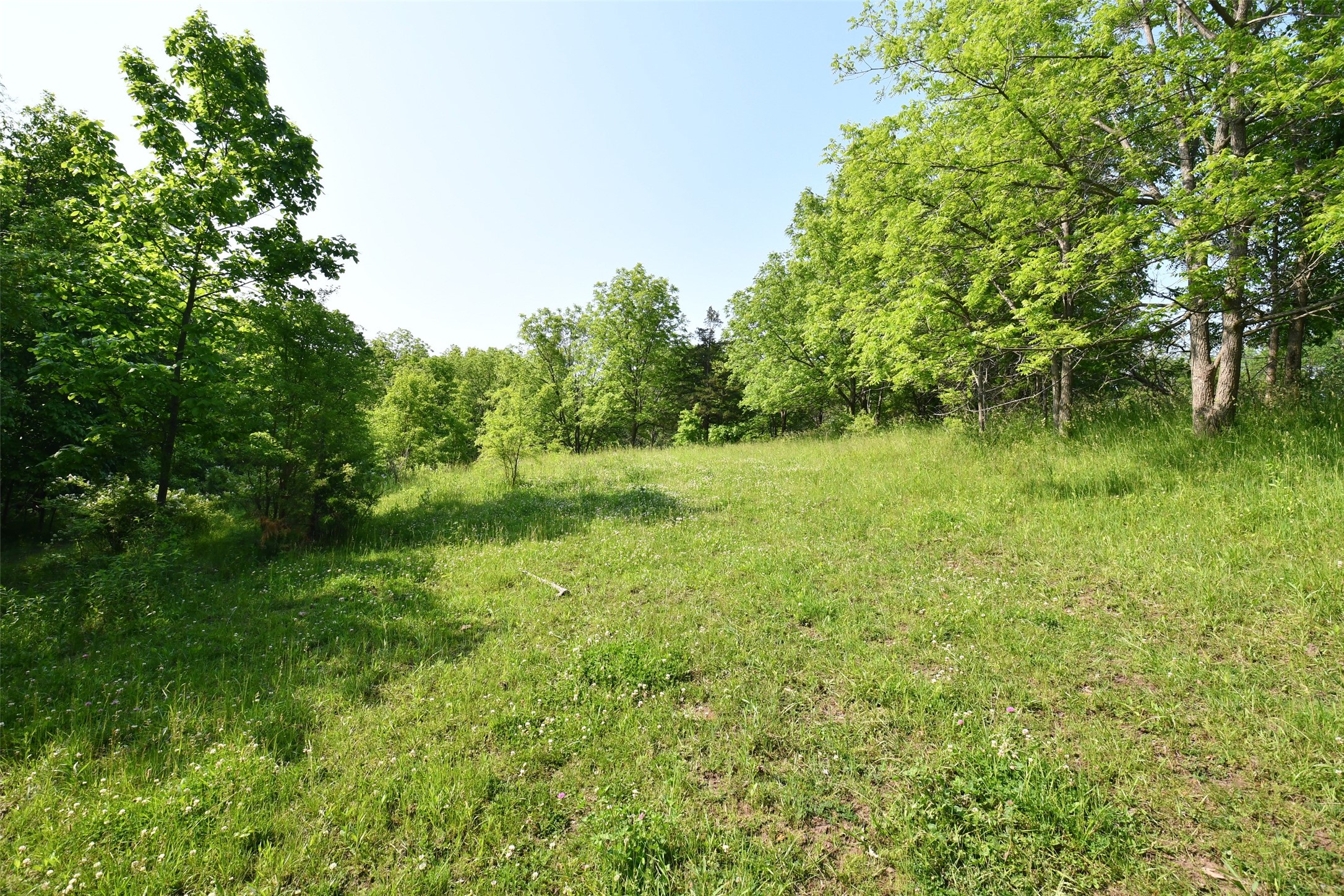 02 S23 Highway, Carlisle, Iowa image 5