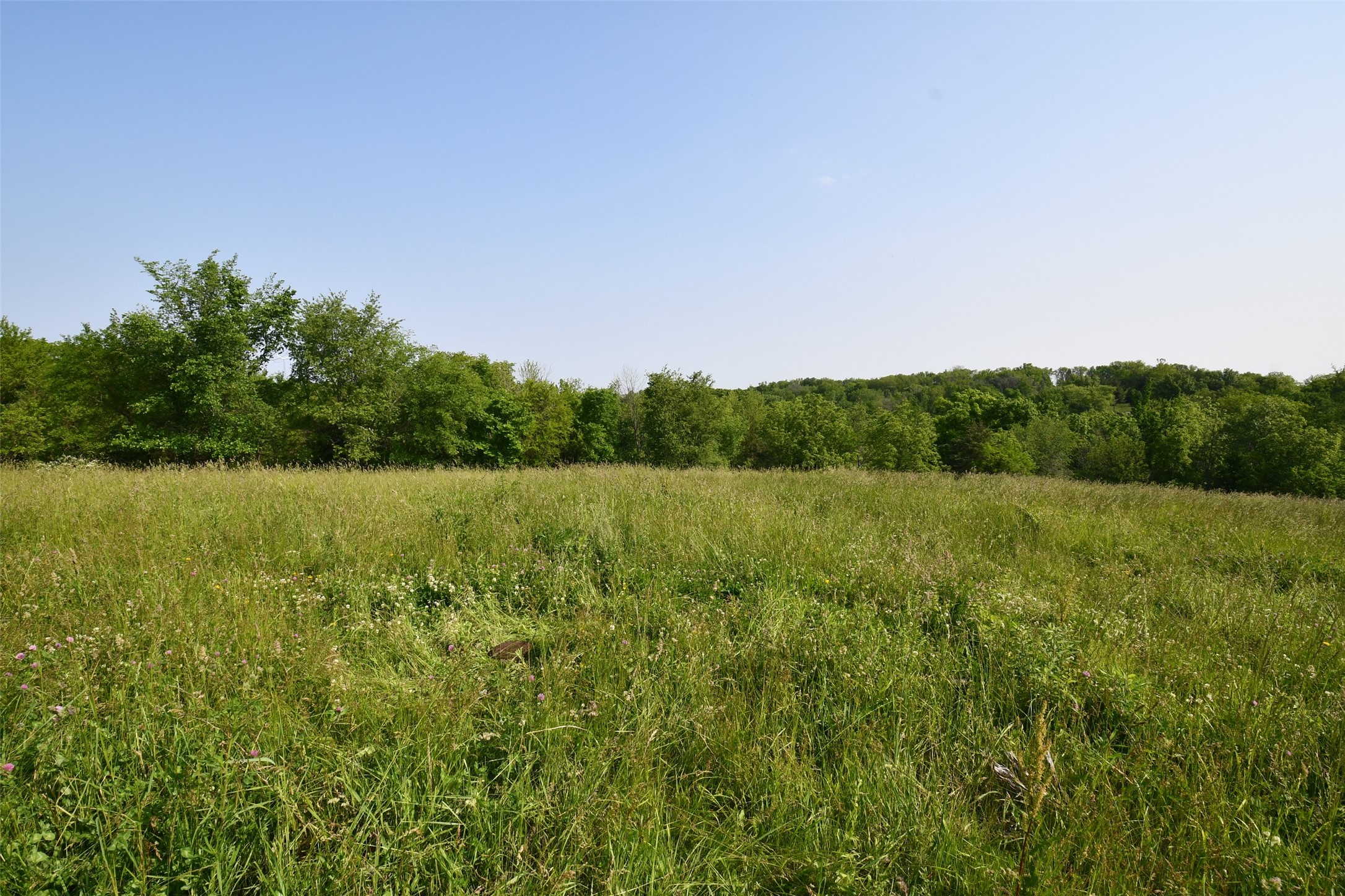 02 S23 Highway, Carlisle, Iowa image 3