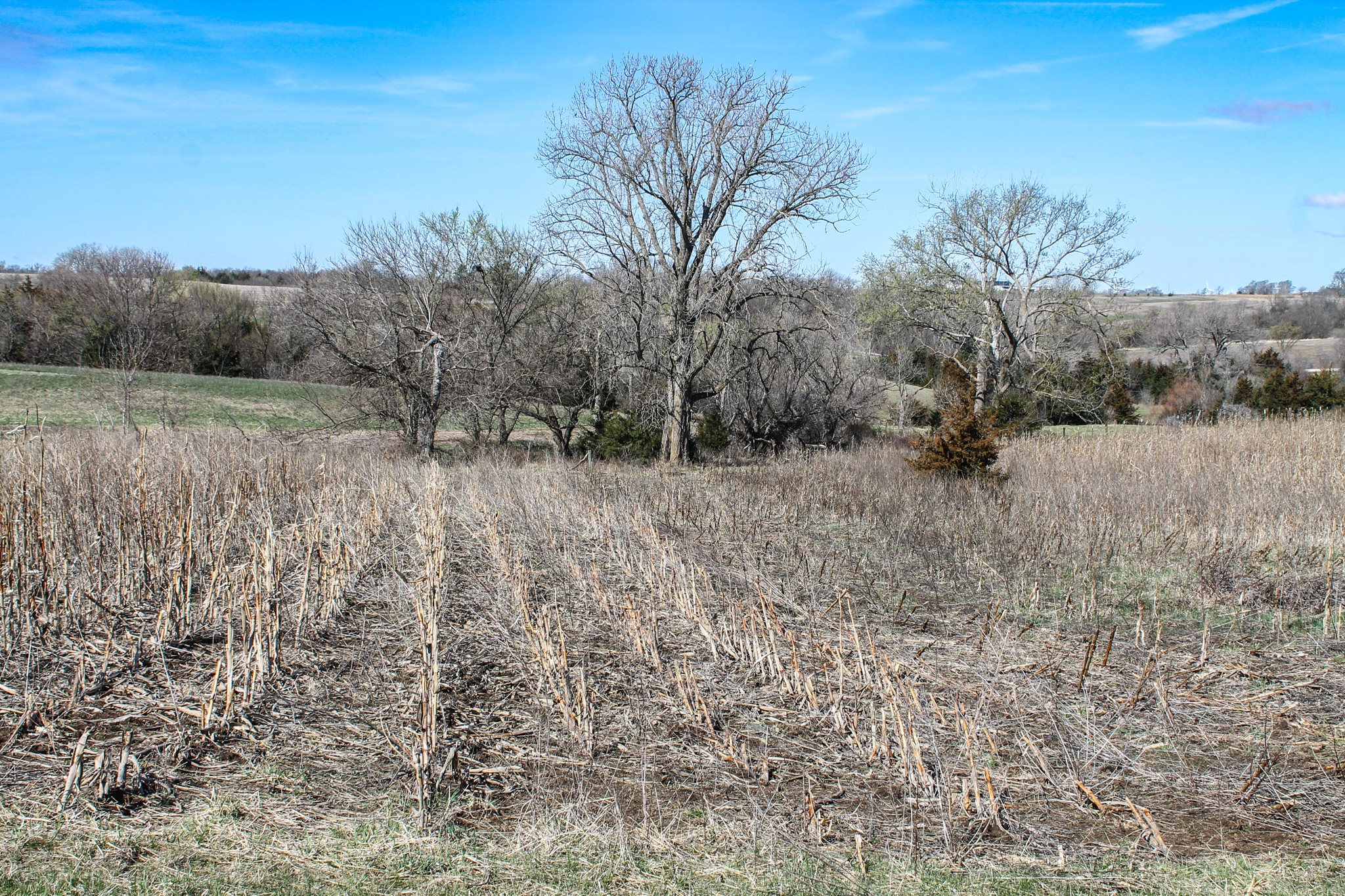 000 Larkspur Avenue, Lorimor, Iowa image 26