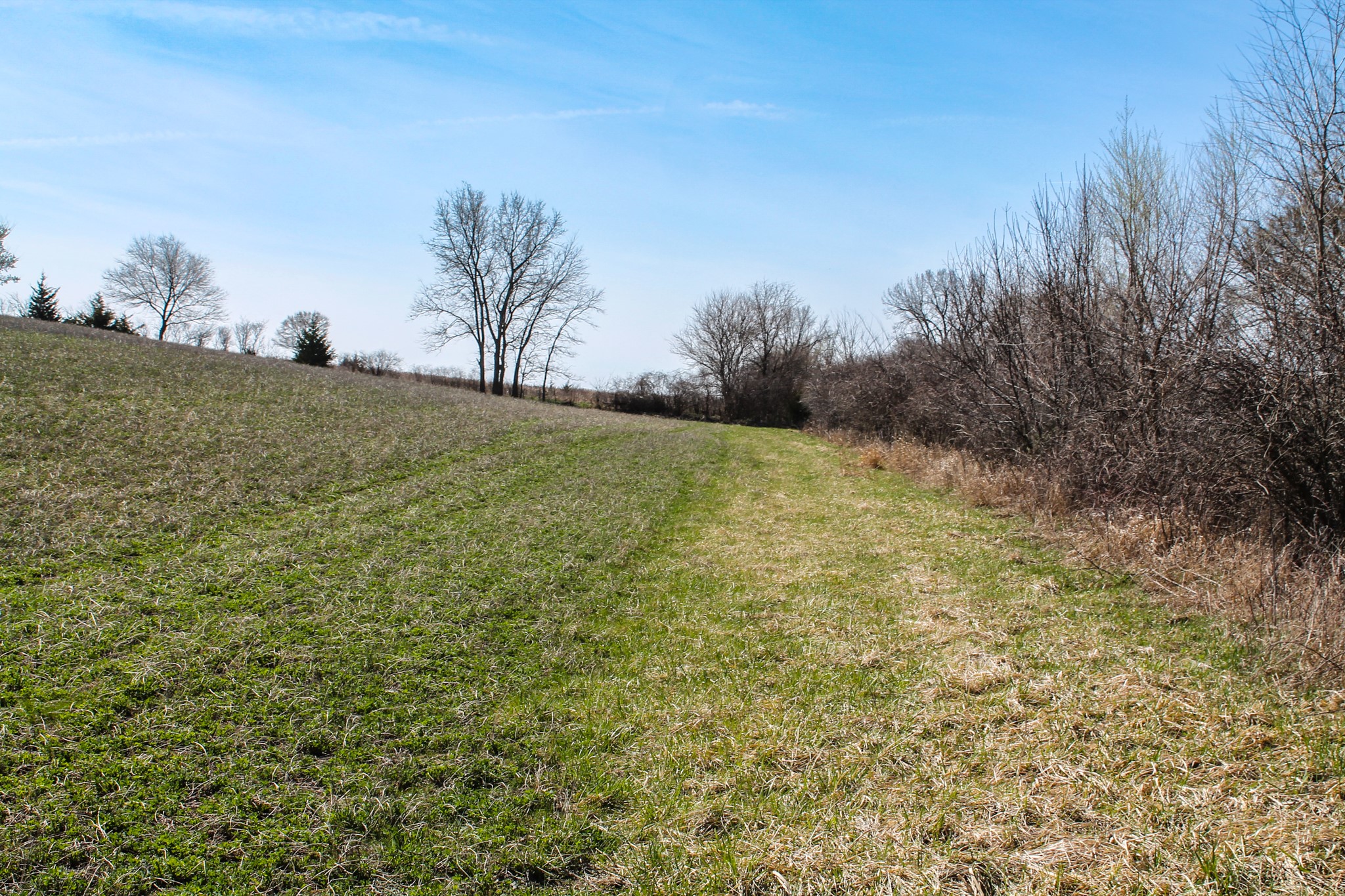 000 Larkspur Avenue, Lorimor, Iowa image 10