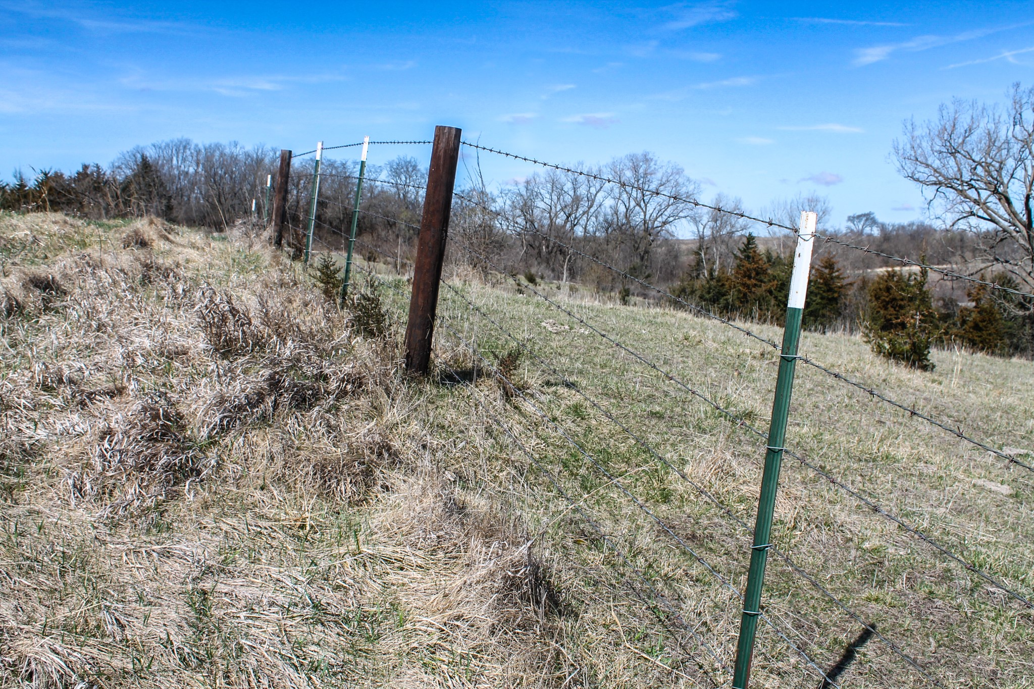 000 Larkspur Avenue, Lorimor, Iowa image 13